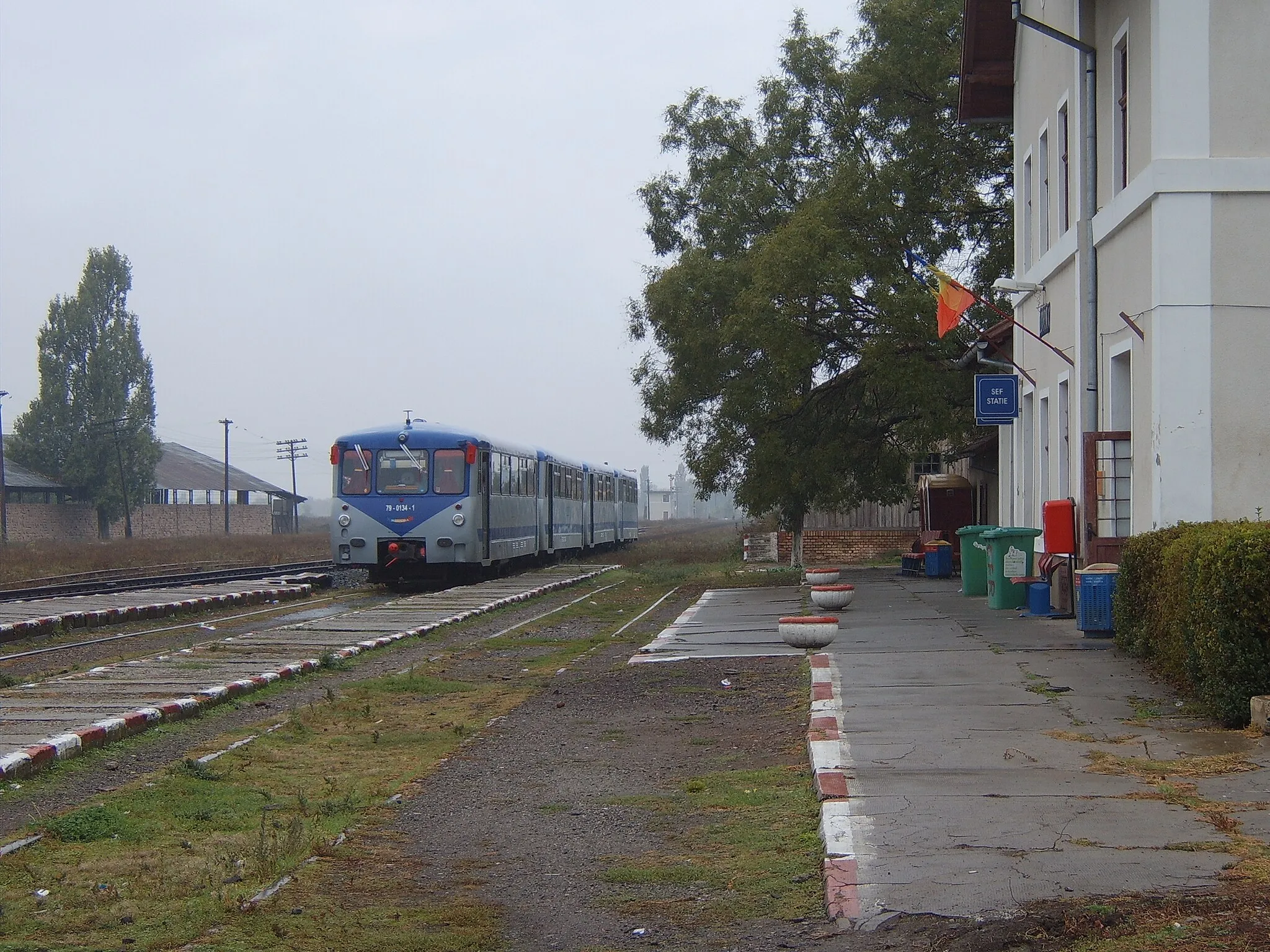 Photo showing: Some DR (later, DB) class 771 "Ferkeltaxe" railcars were sold to CFR to work some of the lines around Timişoara. This view of a 4-car set is seen at Lovrin on 11 October 2007.