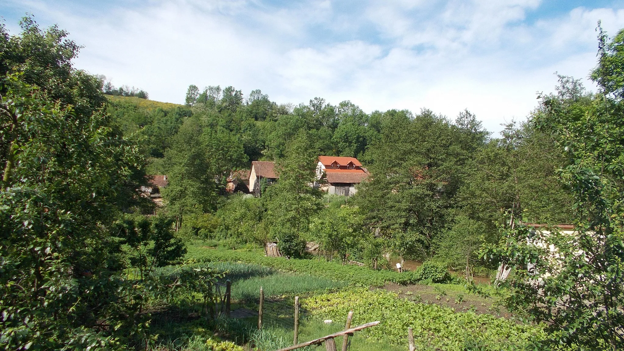 Photo showing: Prigor, Caraș-Severin County, Romania