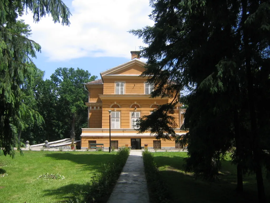 Photo showing: Castelul Regal de la Savarsin