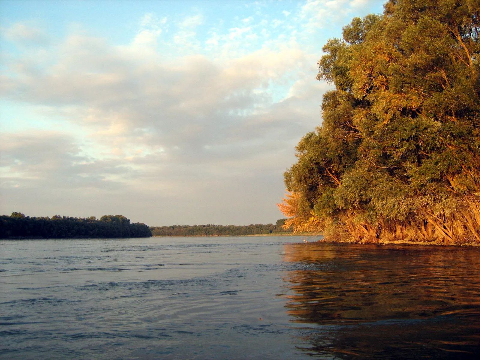 Photo showing: Dunav kod Apatina