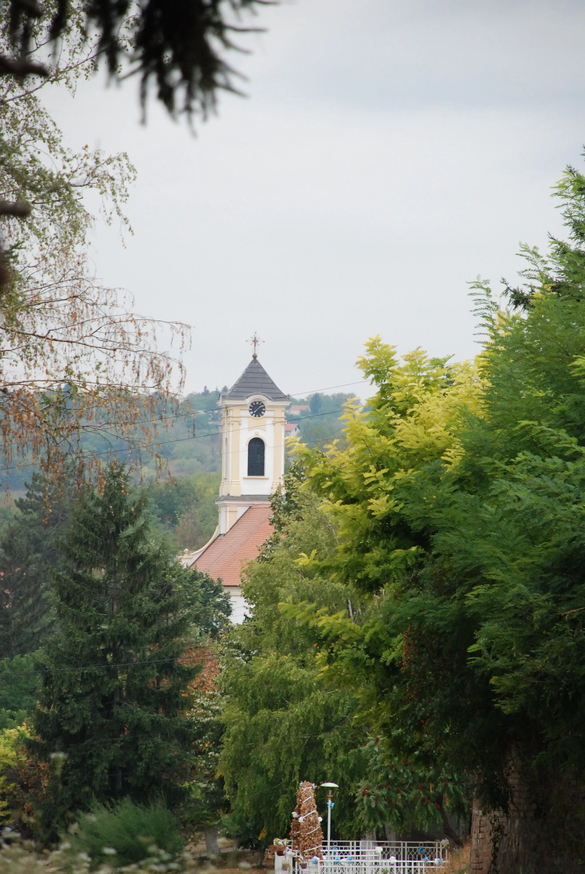 Image of Autonomous Province of Vojvodina