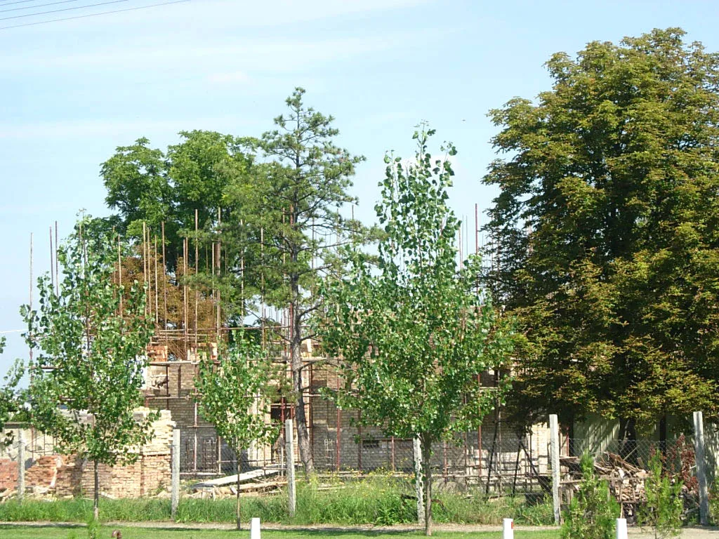 Photo showing: The Orthodox church under construction in Lazarevo.