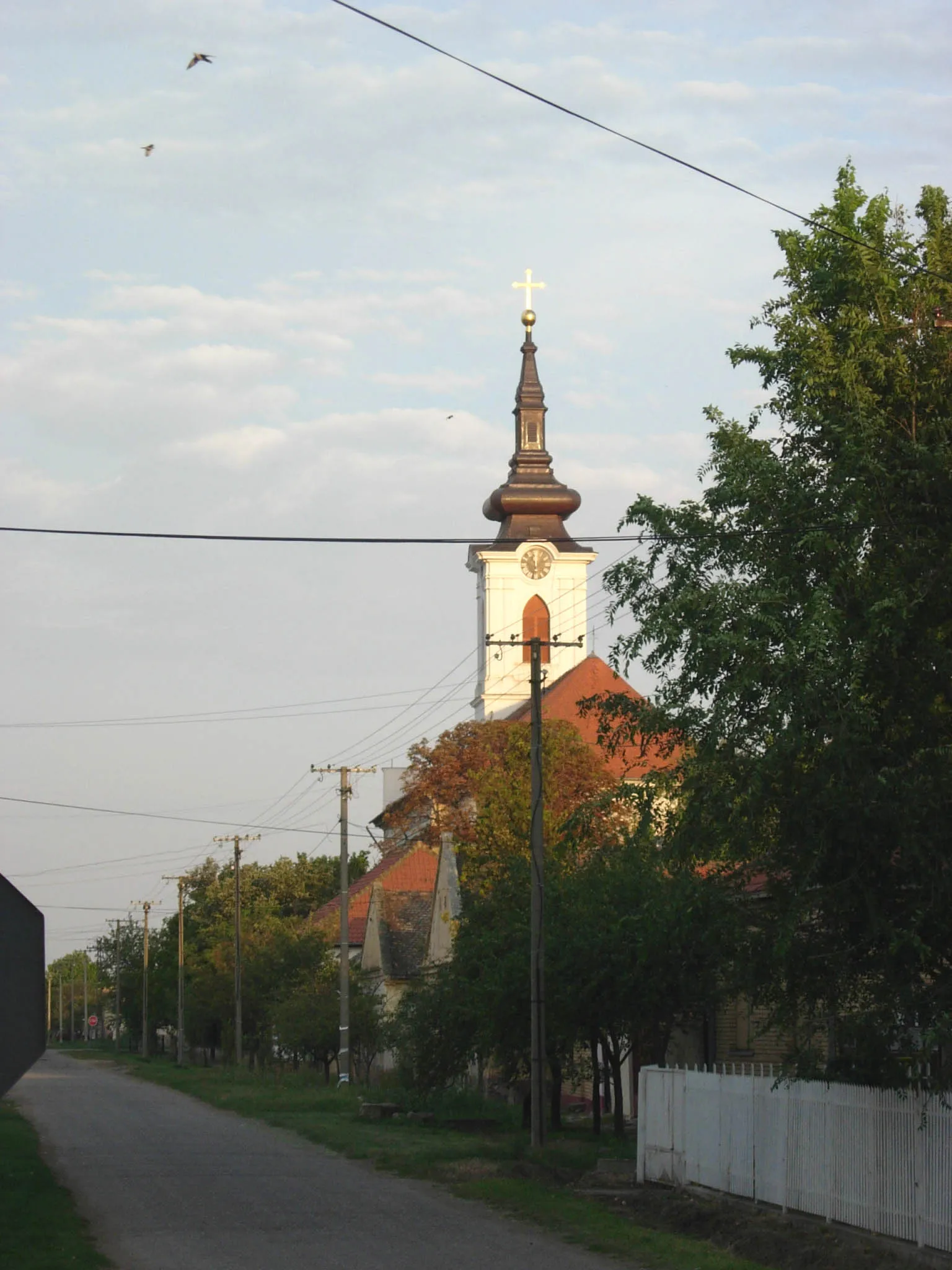 Photo showing: The Orthodox church in Novo Miloševo.