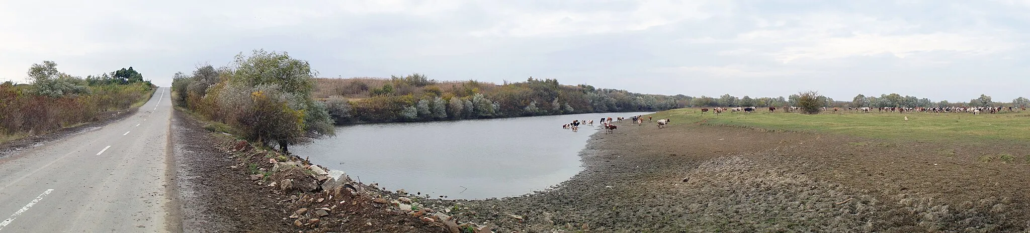 Photo showing: Timiș River (Tamiš) near Tomaševac, in Banat. Here the old meander, an oxbow