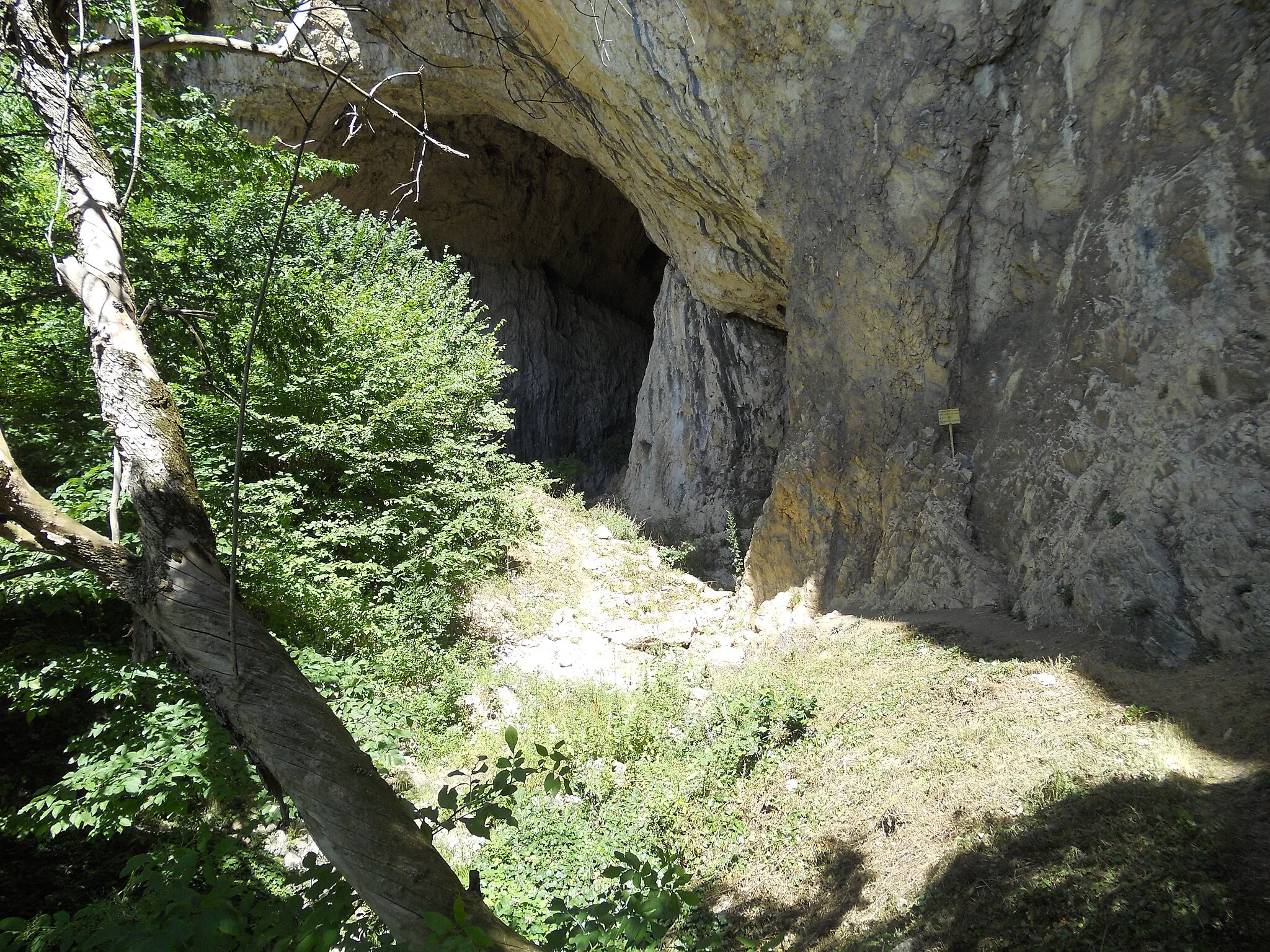 Image of Region Južne i Istočne Srbije