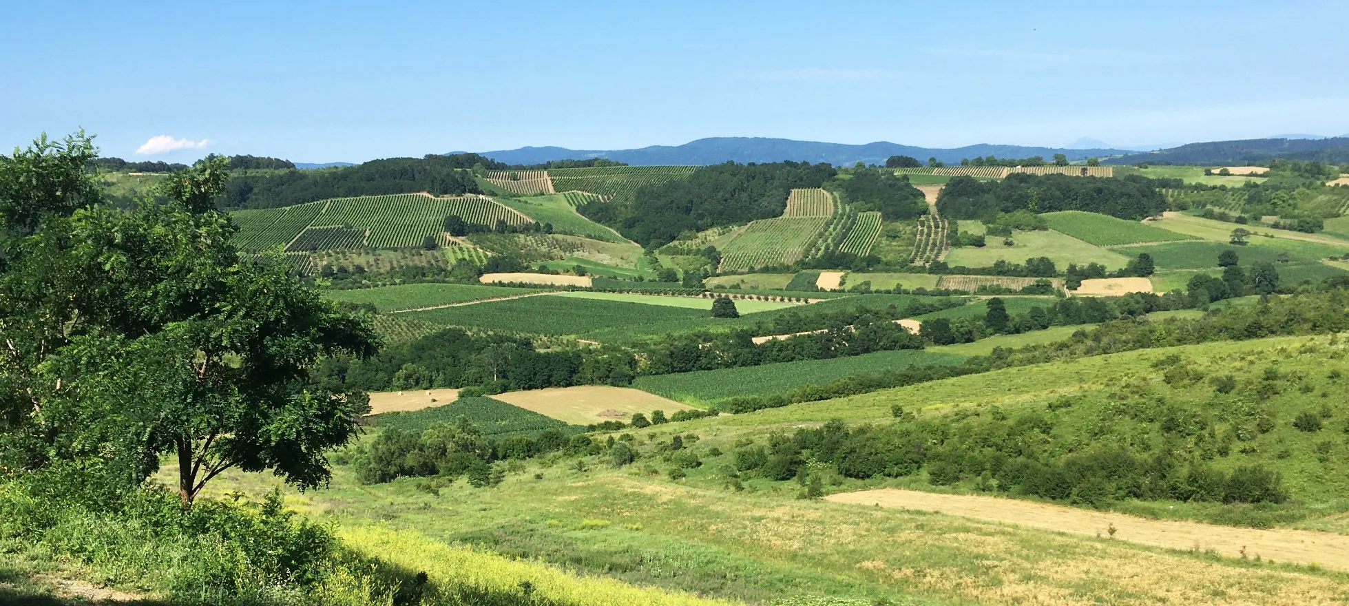 Image of Region Šumadije i Zapadne Srbije