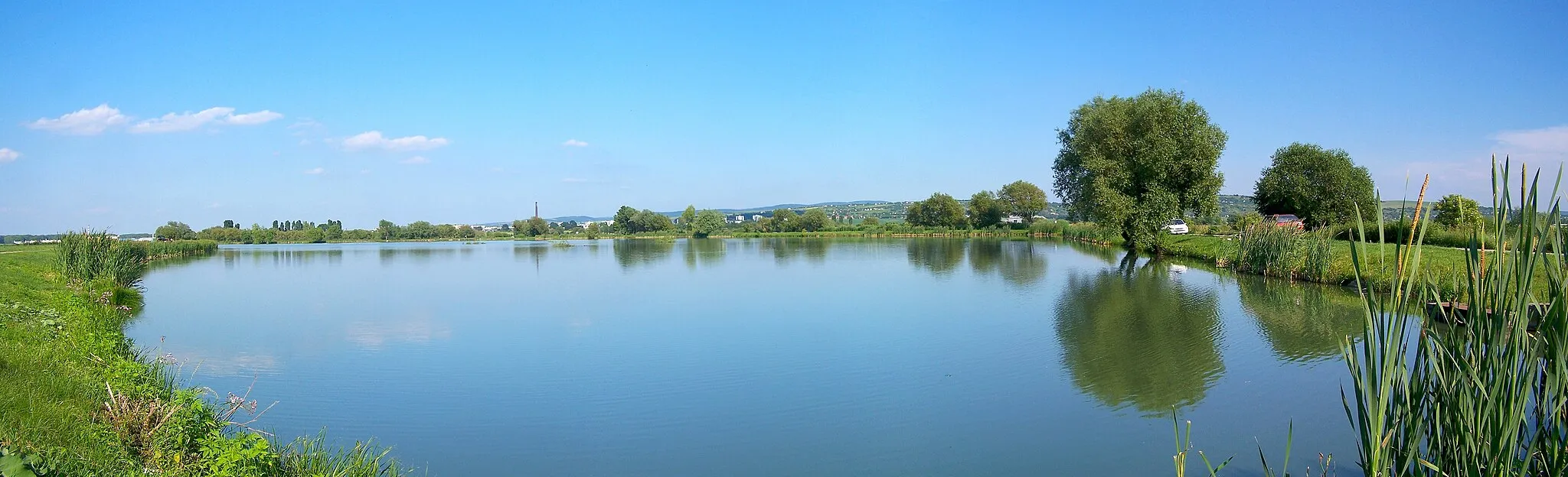 Photo showing: Fish pond of skalica in sommer