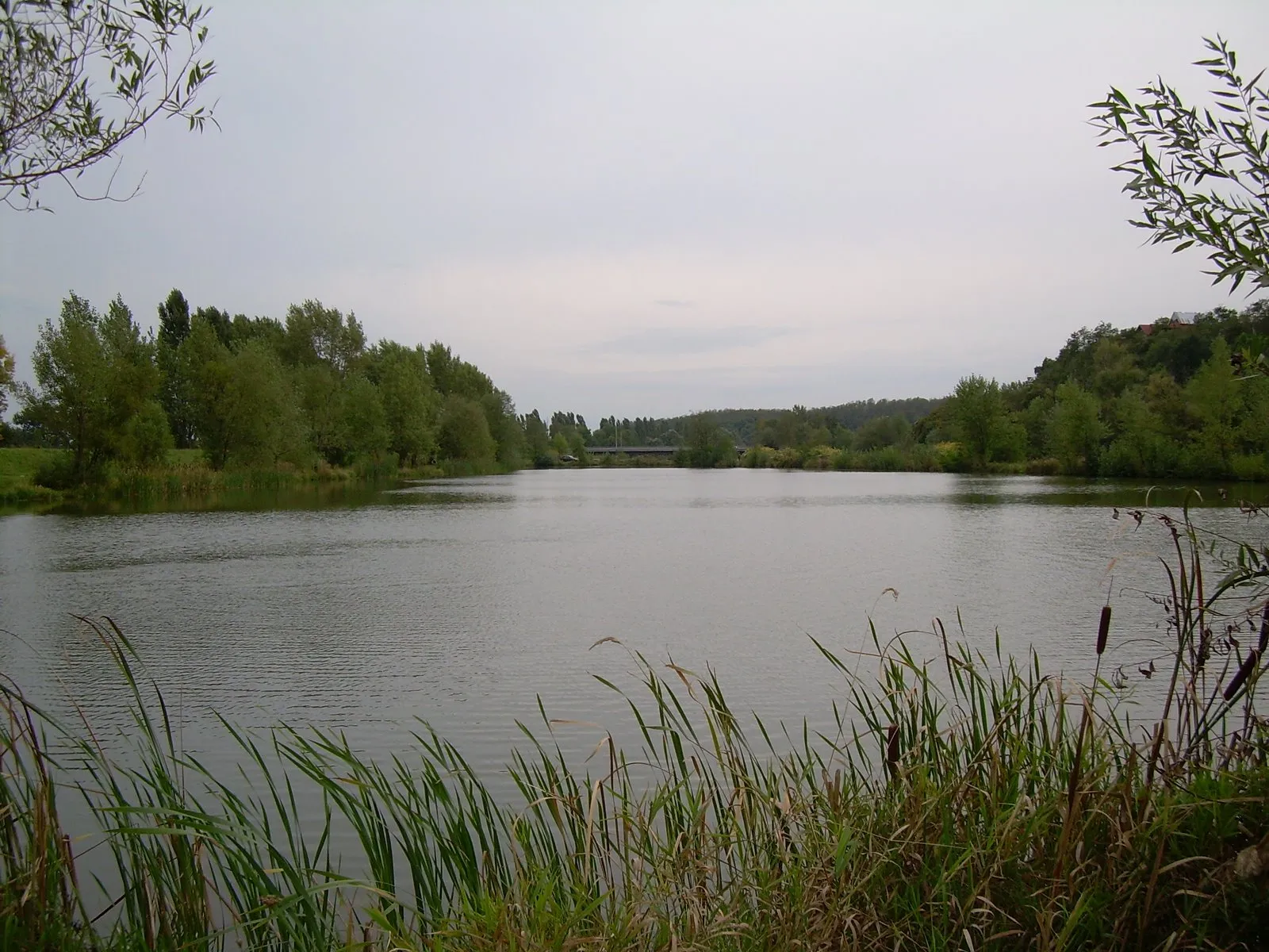 Photo showing: A lake near the river Hron Tlmace, Slovakia