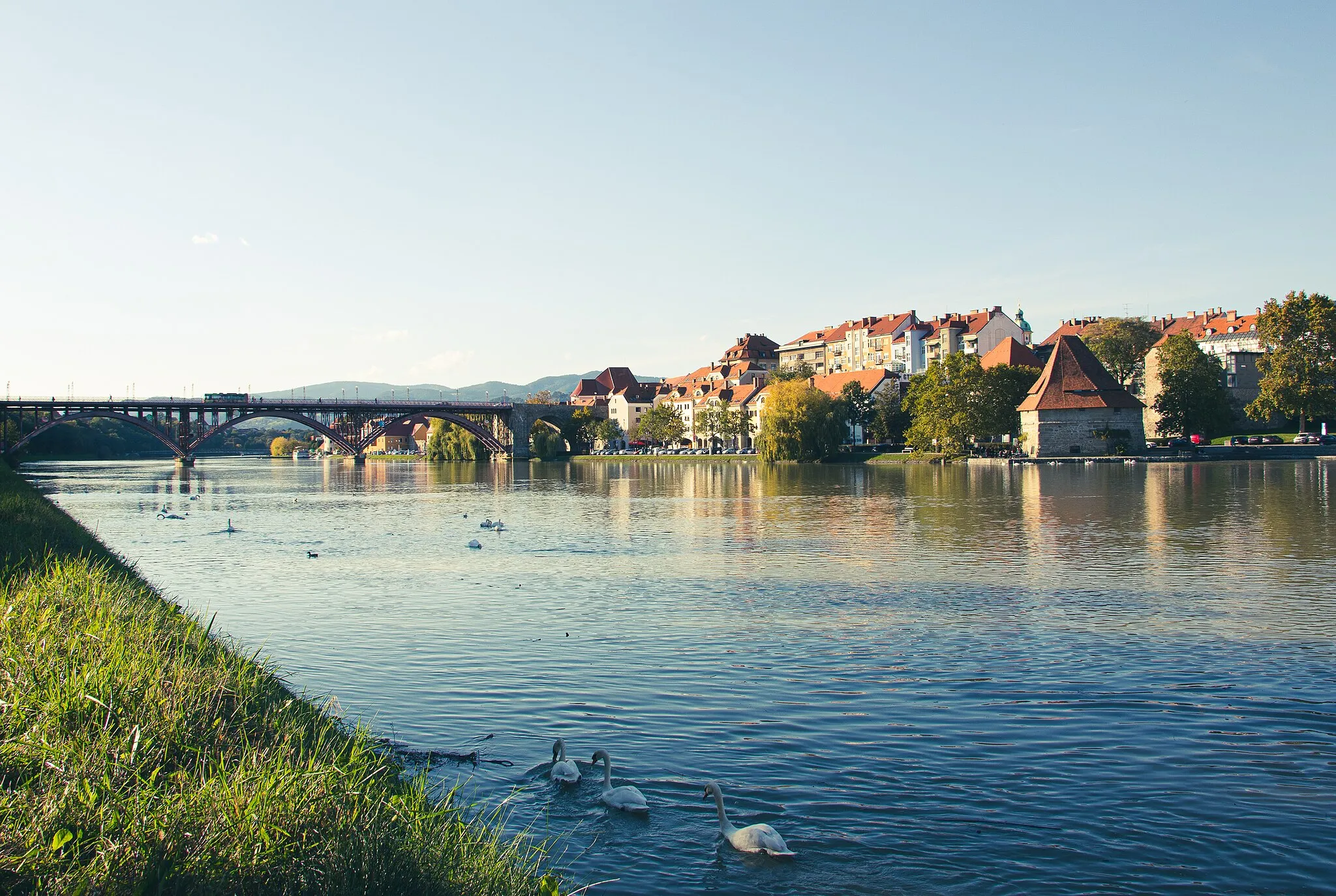Photo showing: Drava river in Maribor Slovenia