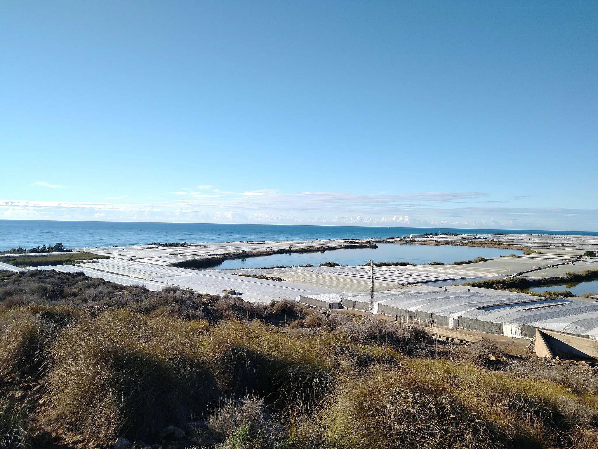 Photo showing: Albufera de Adra, reserva natural en el Inventario de Humedales de Andalucía.