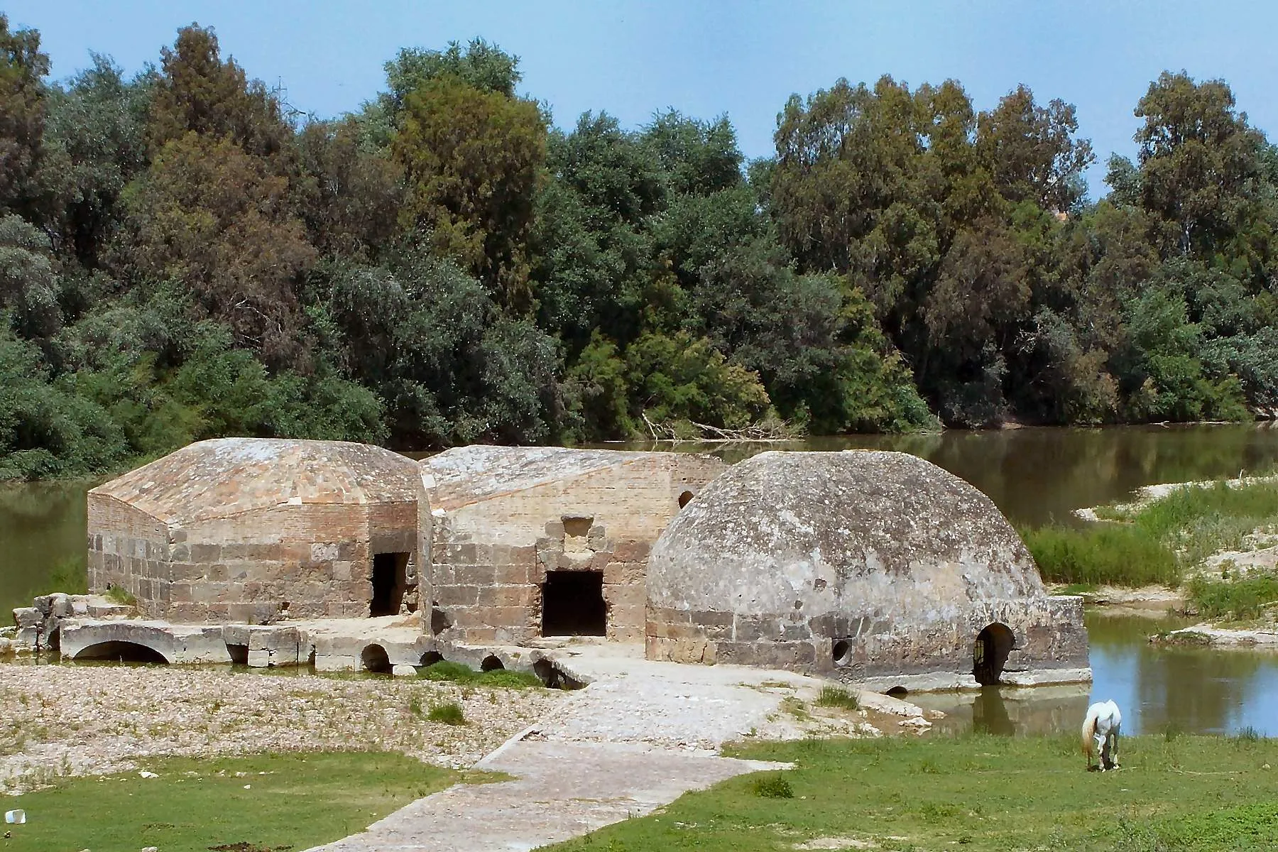 Obrázek Alcolea del Río