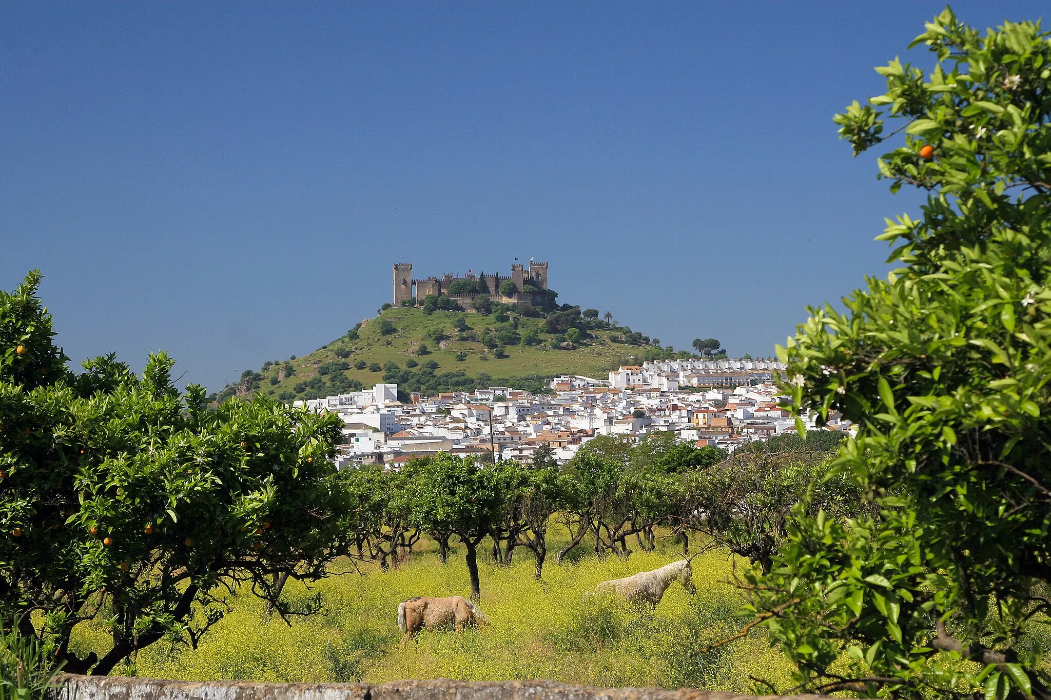 Photo showing: Castillo de Almodóvar del Río (España).