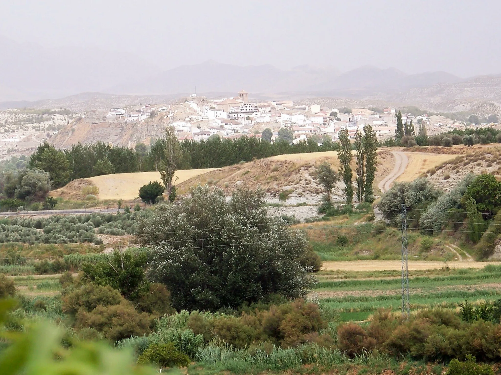 Photo showing: Vista de Benamaurel desde Huerta Real, con la vega del río Guardal.