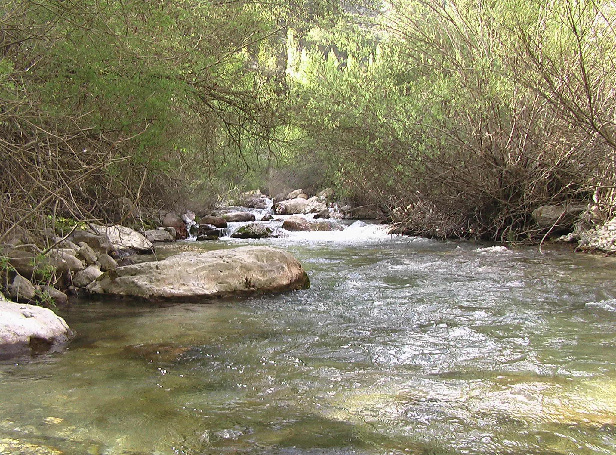 Imagen de Andalucía