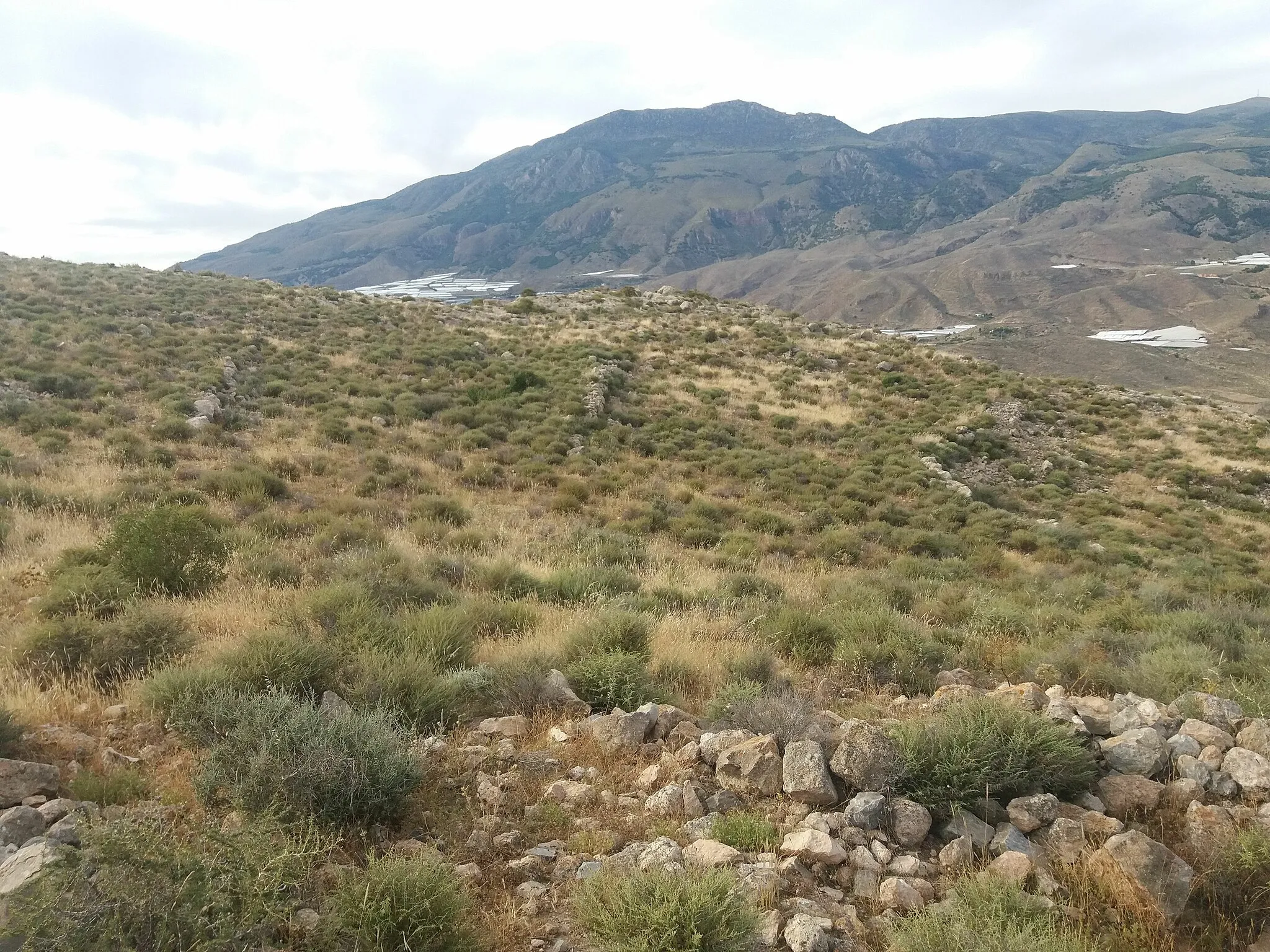 Photo showing: panoramic view of the archeological site of Cerron de Dalias, Almeria, Spain