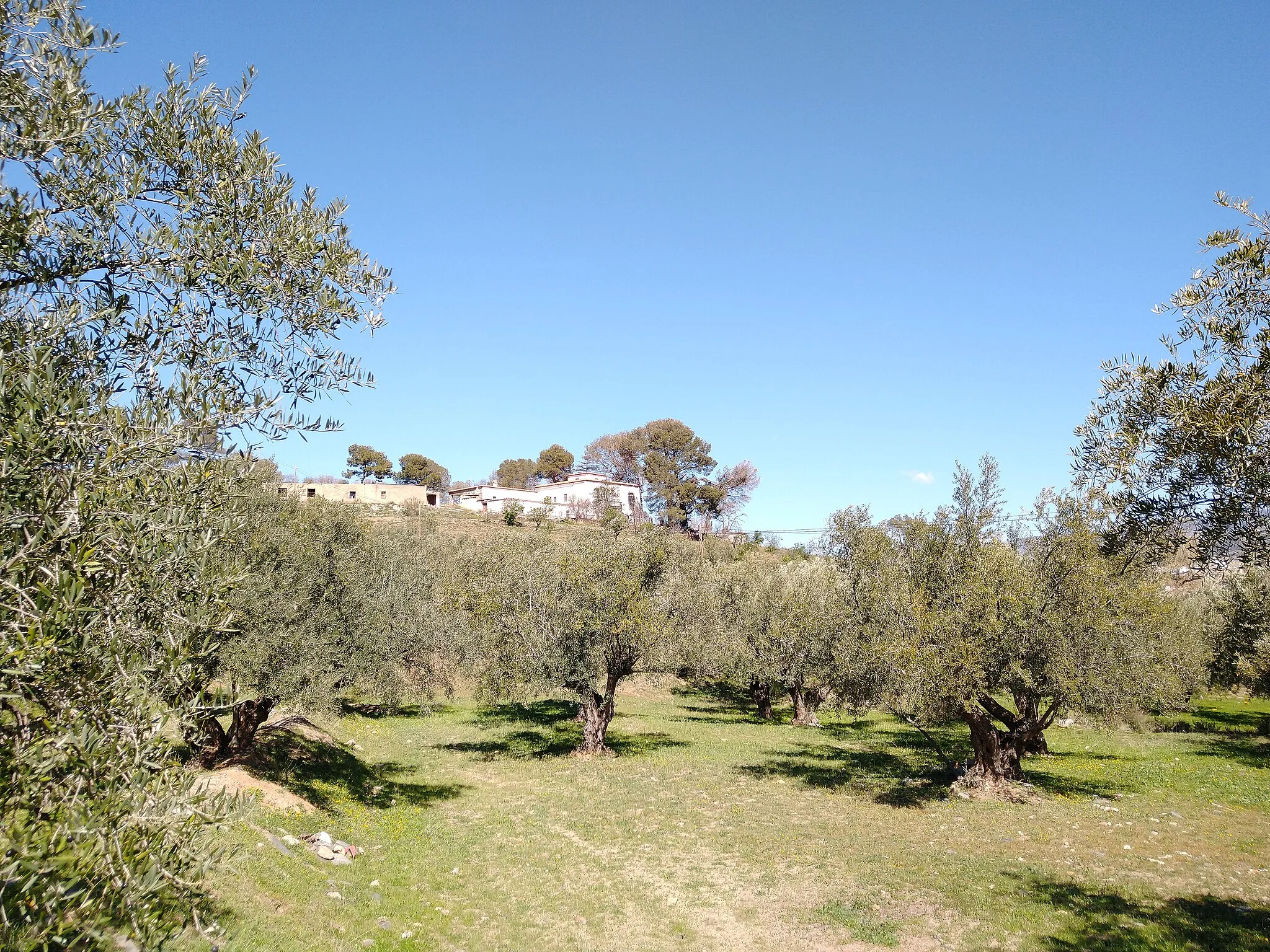 Photo showing: Paseo por Fiñana, provincia de Almería, España.