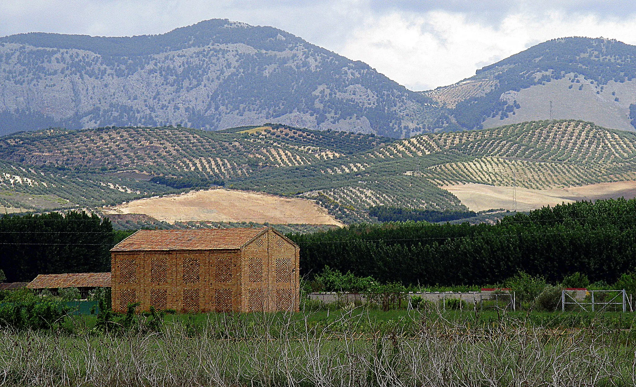 Photo showing: Brick barn, Fuente Vaqueros (Spain).