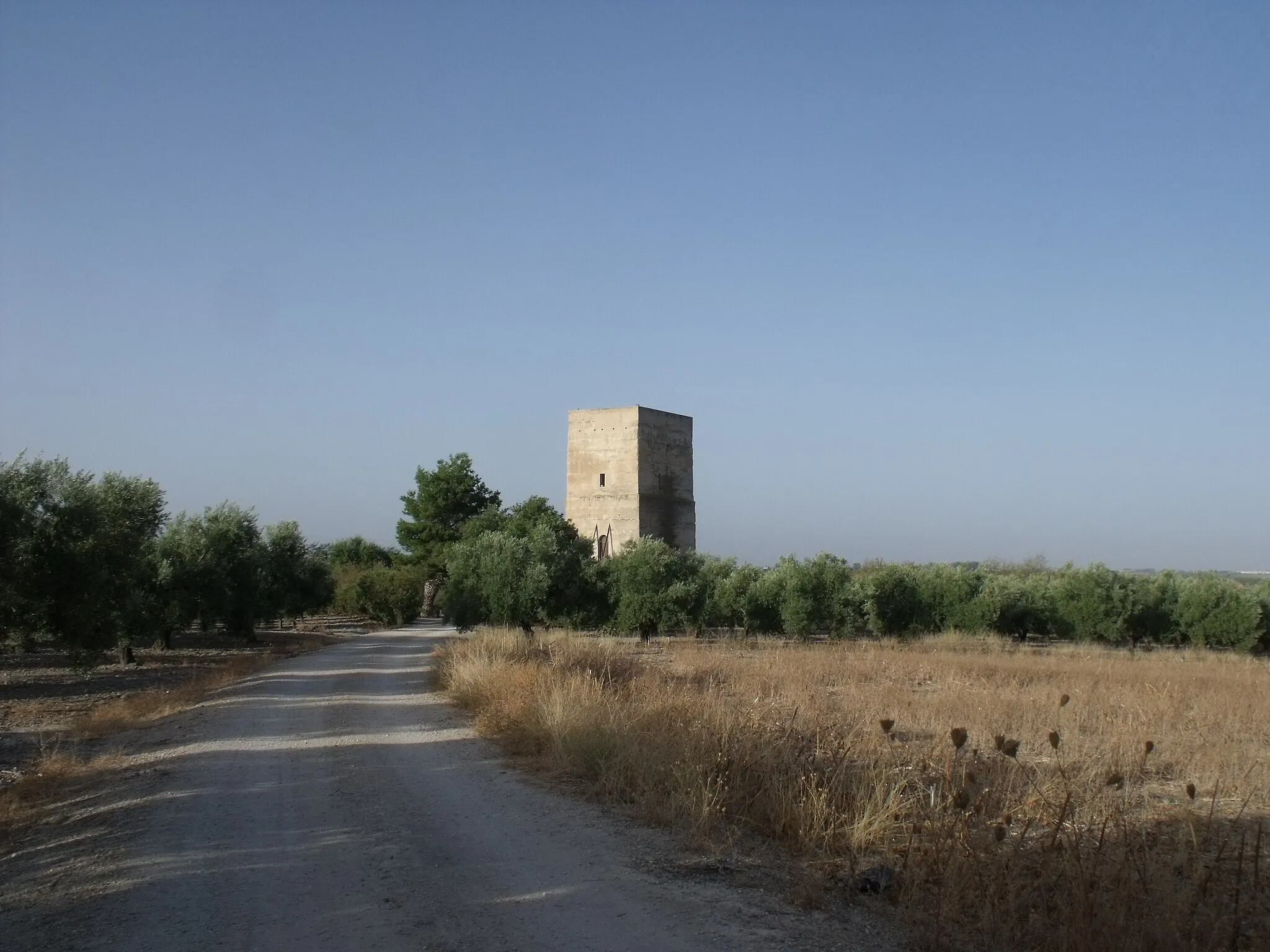 Photo showing: Vista desde el acceso