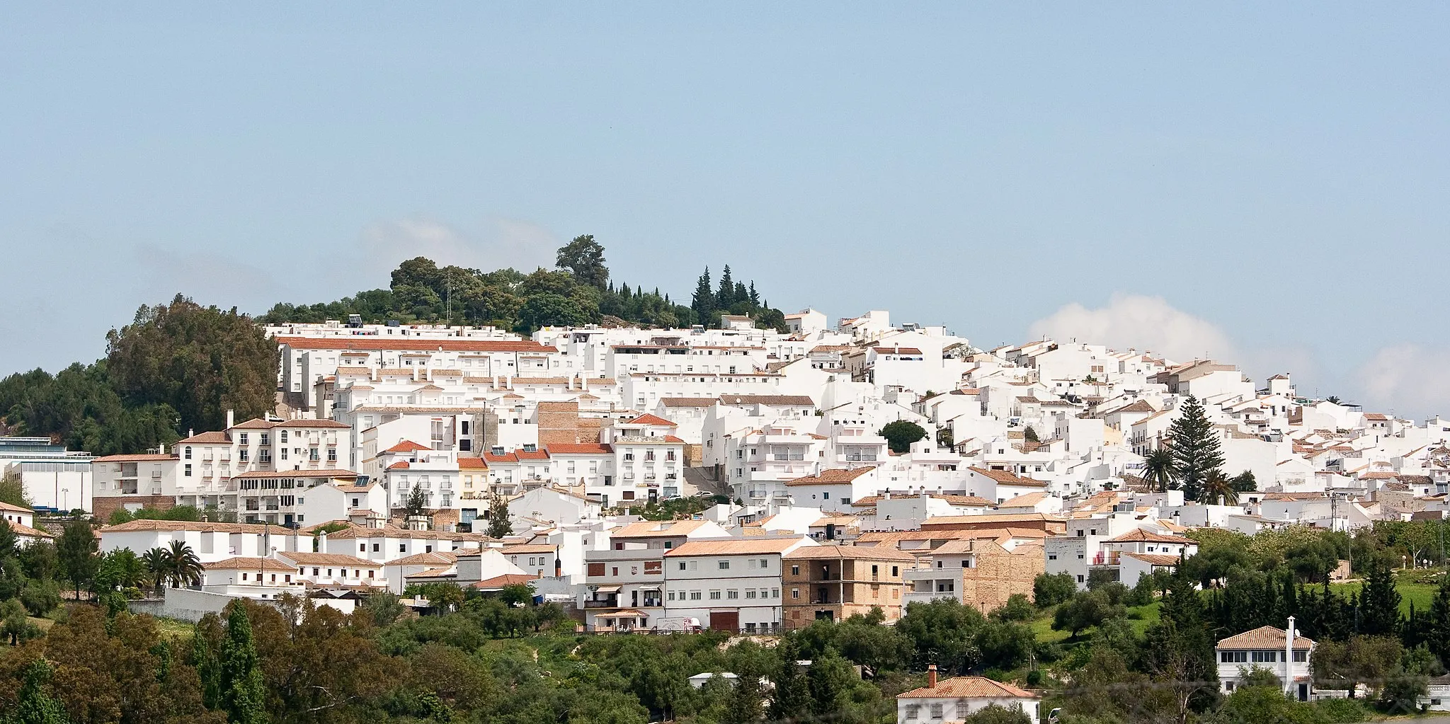 Billede af Andalusien