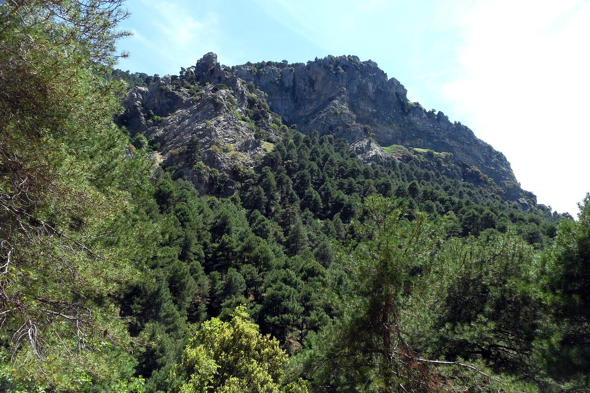 Photo showing: Aussicht von der Piste Collada Zamora – Puerto Tiscar in der südlichen Sierra de Cazorla, der Gipfel war nicht zu identifizieren.