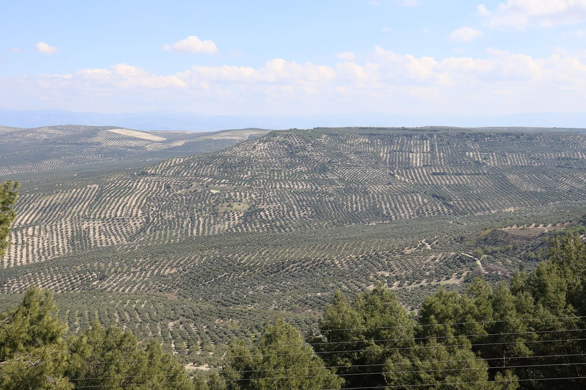 Billede af Andalusien