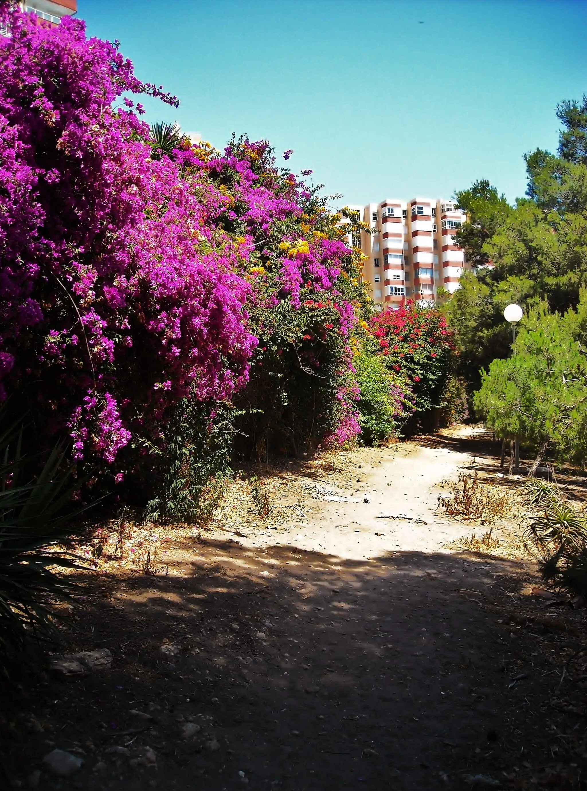 Imagen de Andalucía