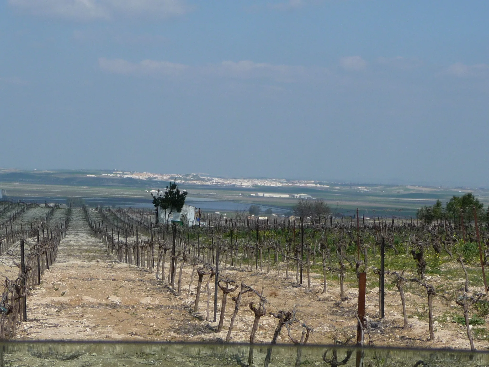 Photo showing: Lebrija from Trebujena (Andalusia, Spain)