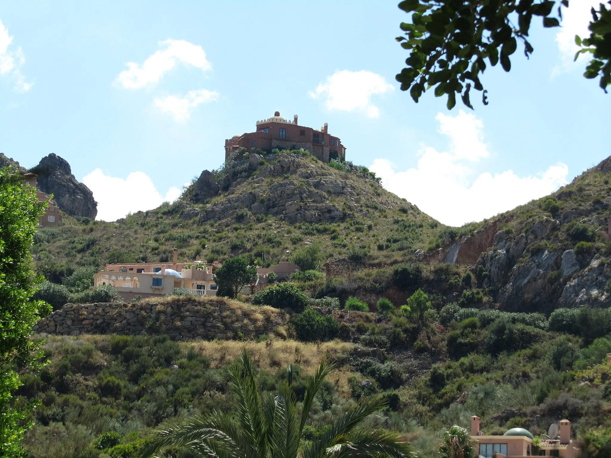 Image of Turre