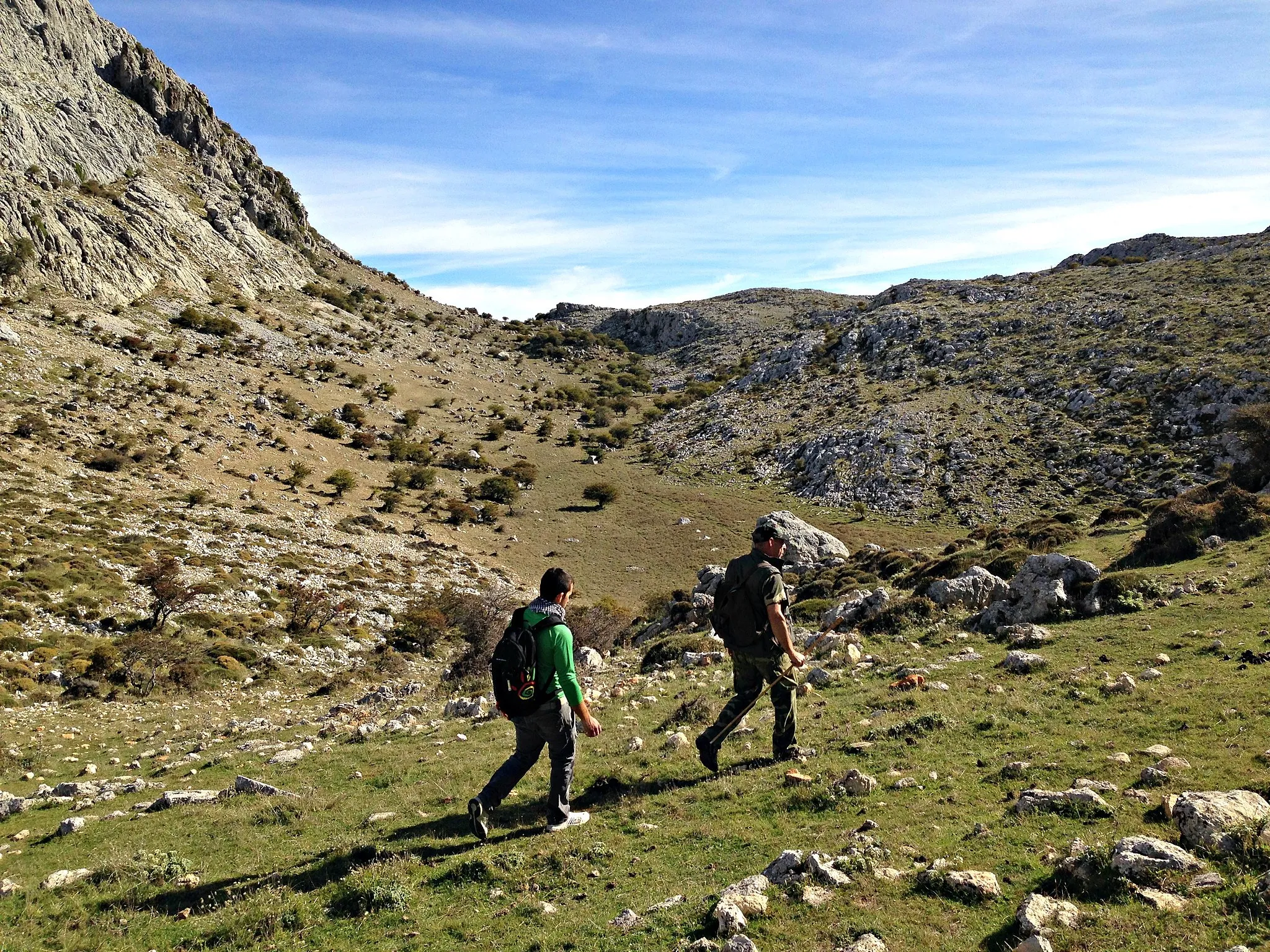 Immagine di Andalusia