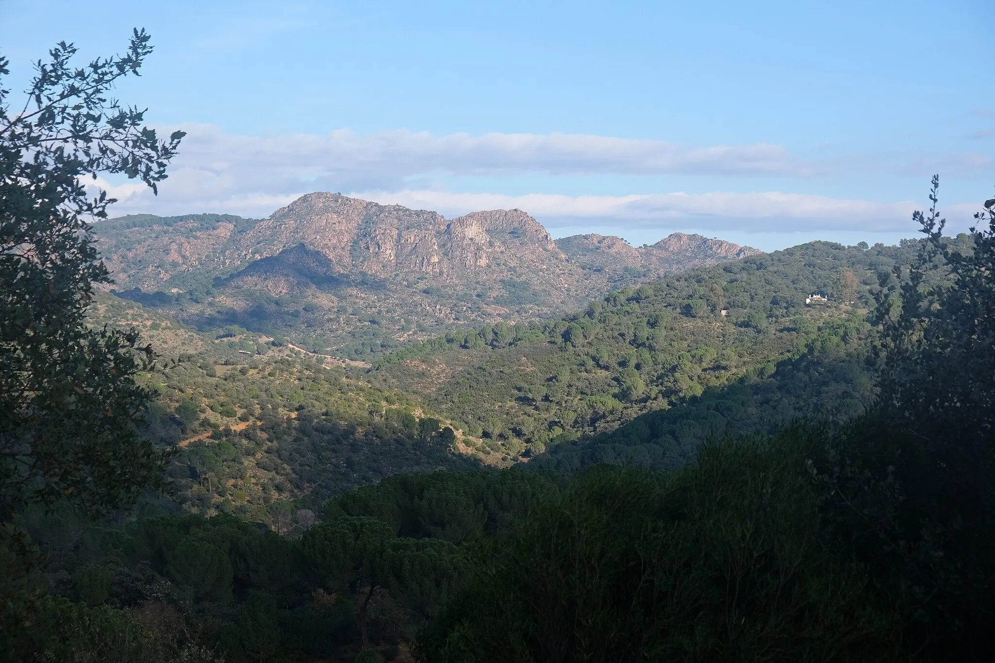 Photo showing: View from the road towards Villaviciosa de Córdoba.