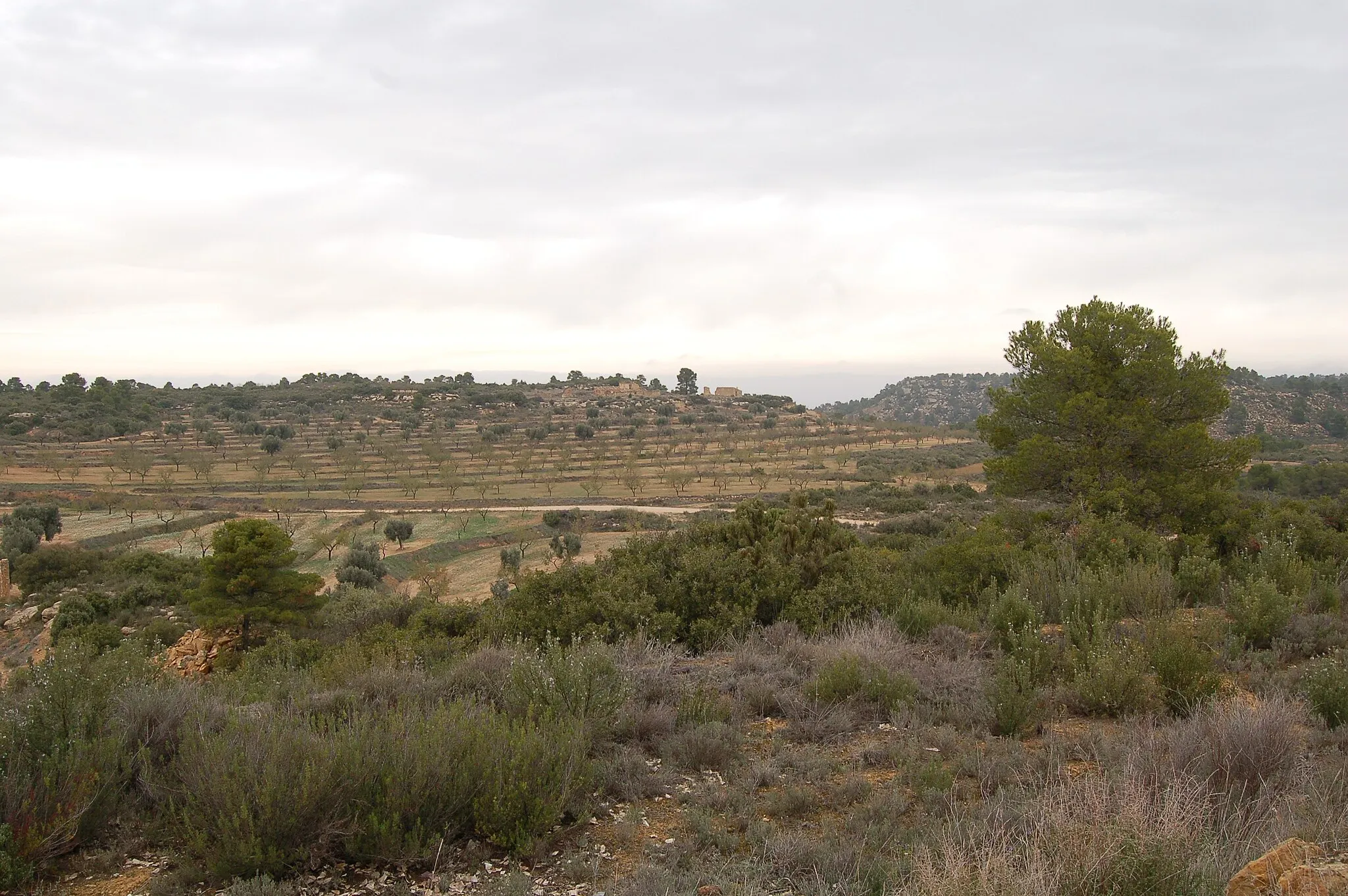 Photo showing: Camp de batalla de Maella