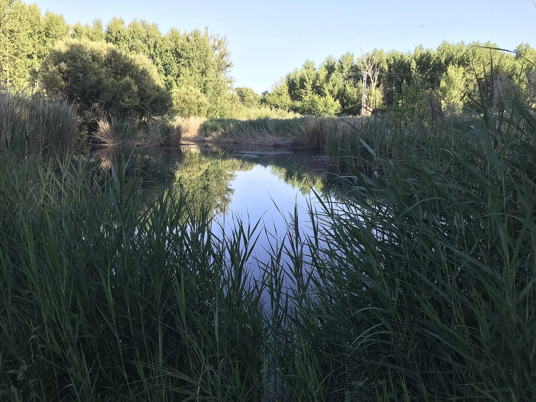 Imagen de Monreal del Campo