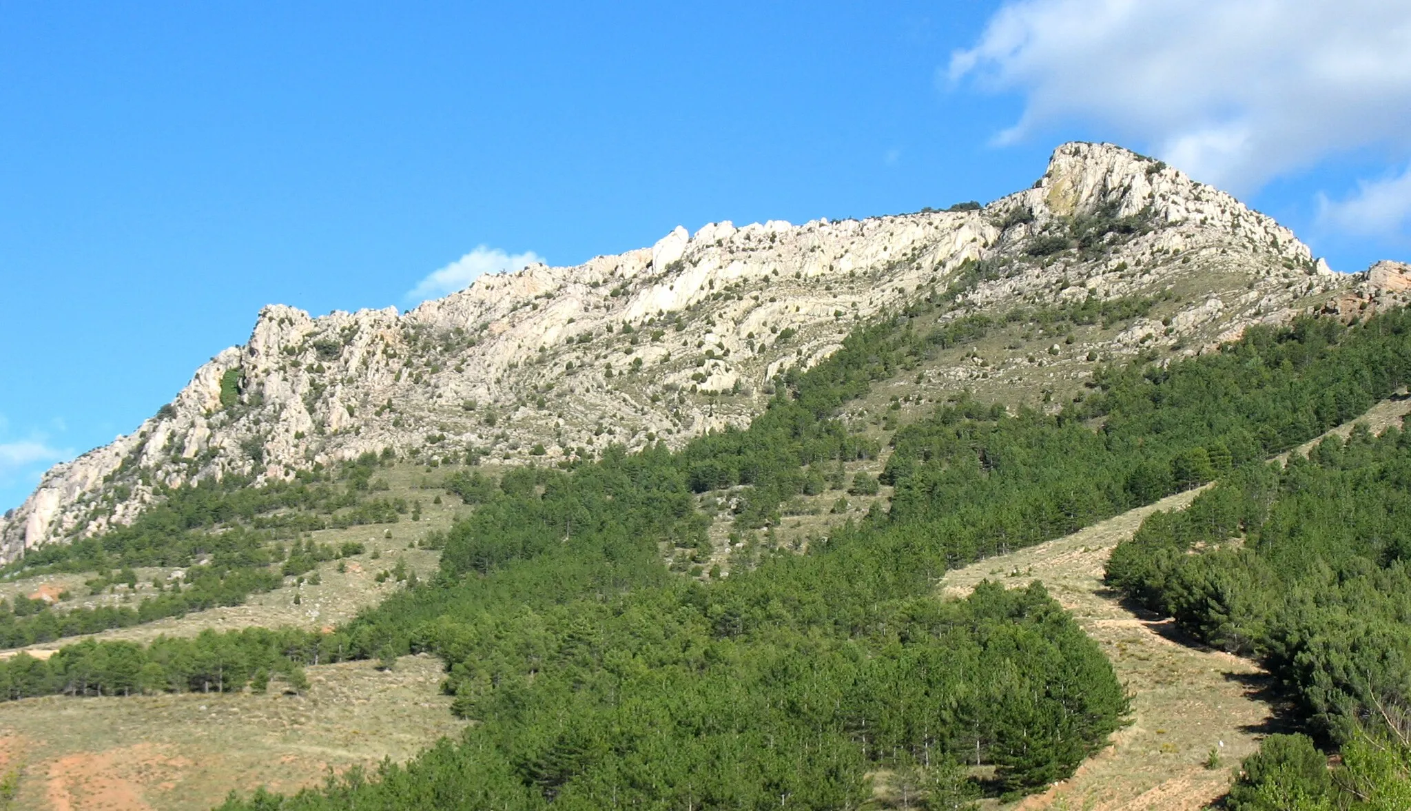 Photo showing: Anticlinal tumbado del frente del "Cabalgamiento de Utrillas" (Cretácico superior sobre Cenozoico) N-420, entre Utrillas y Montalbán (Teruel, España). Punto de interés geológico de Aragón 116 y Lugar de interés geológico (IGME) ARP116.