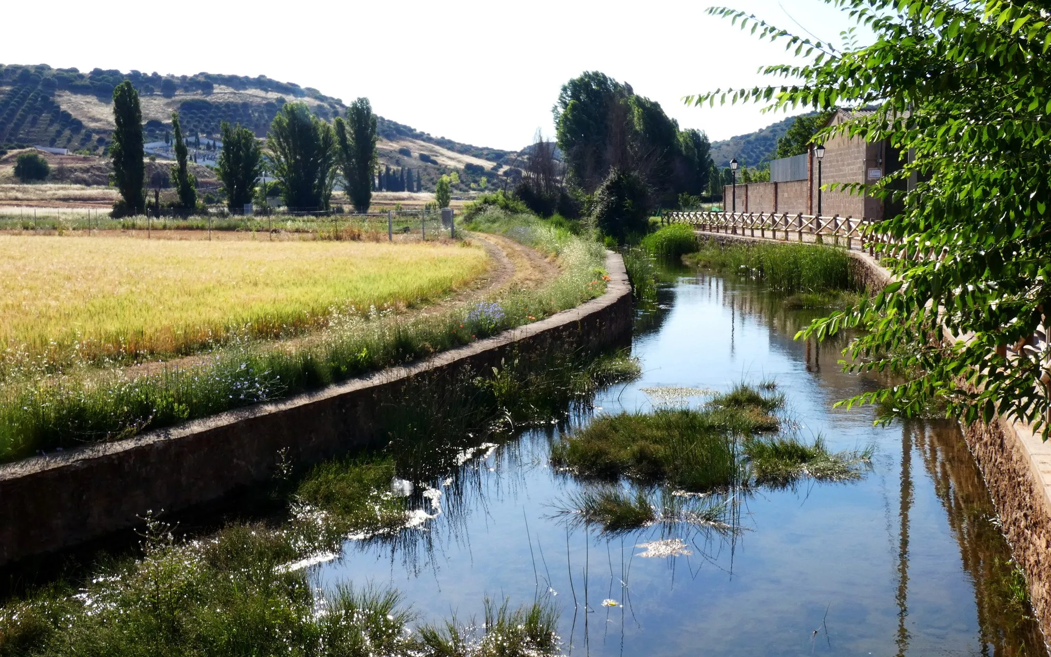 Photo showing: El pequeño río Cañamares de la cuenca del Guadiana, canalizado a su paso por Carrizosa (Ciudad Real).