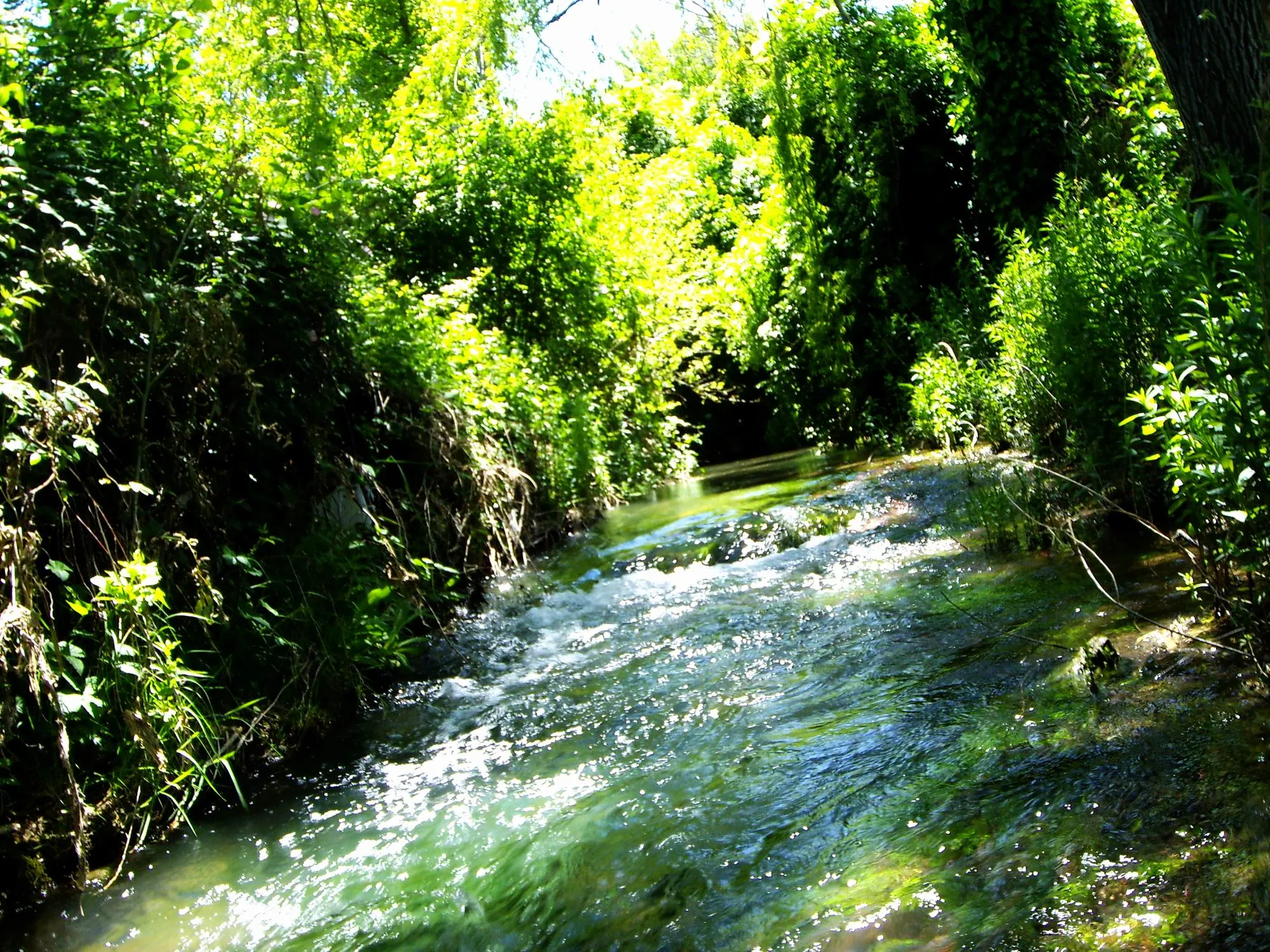 Photo showing: Rio Lezuza junto a la vega