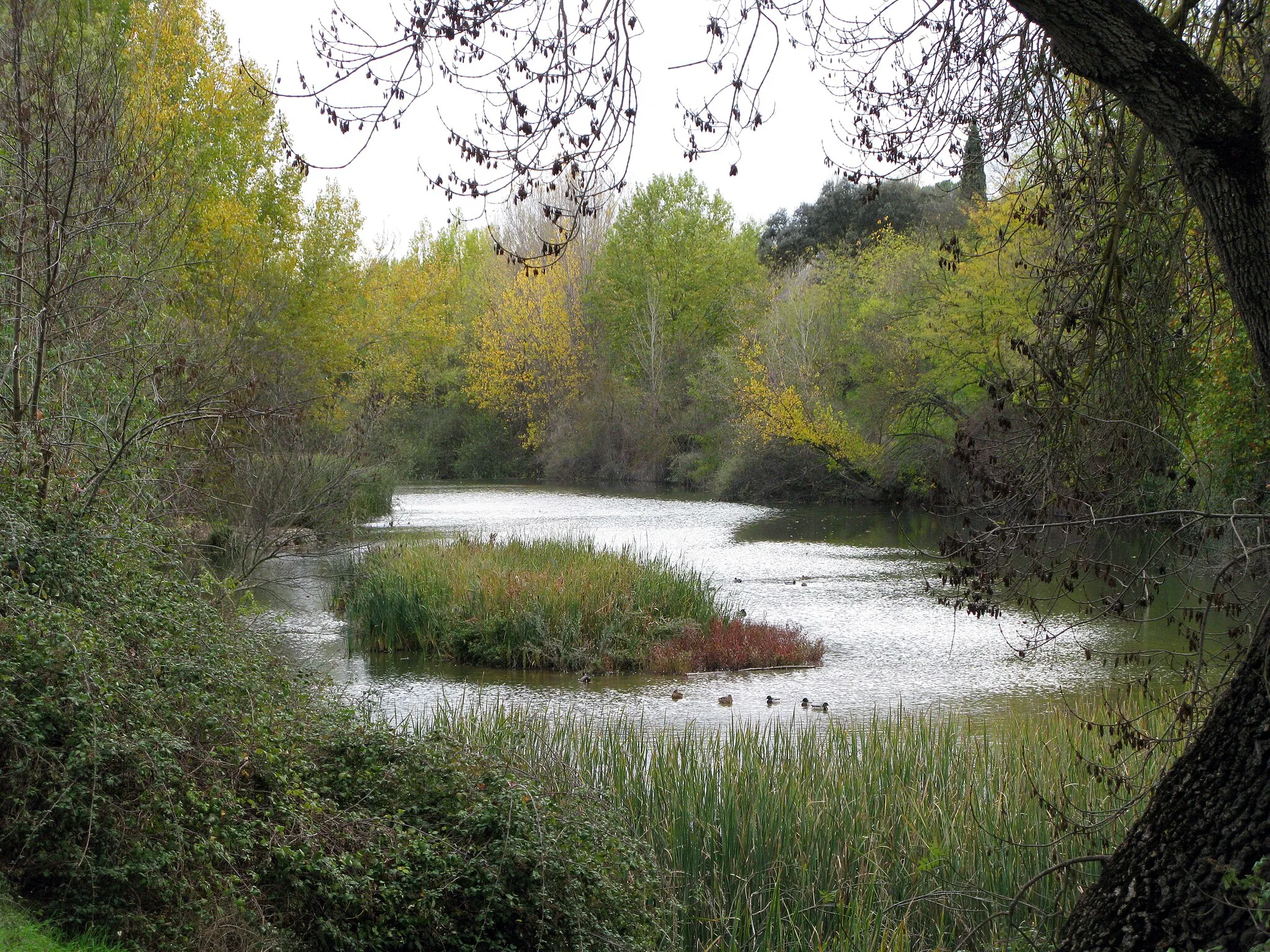 Bild von Castilla-La Mancha