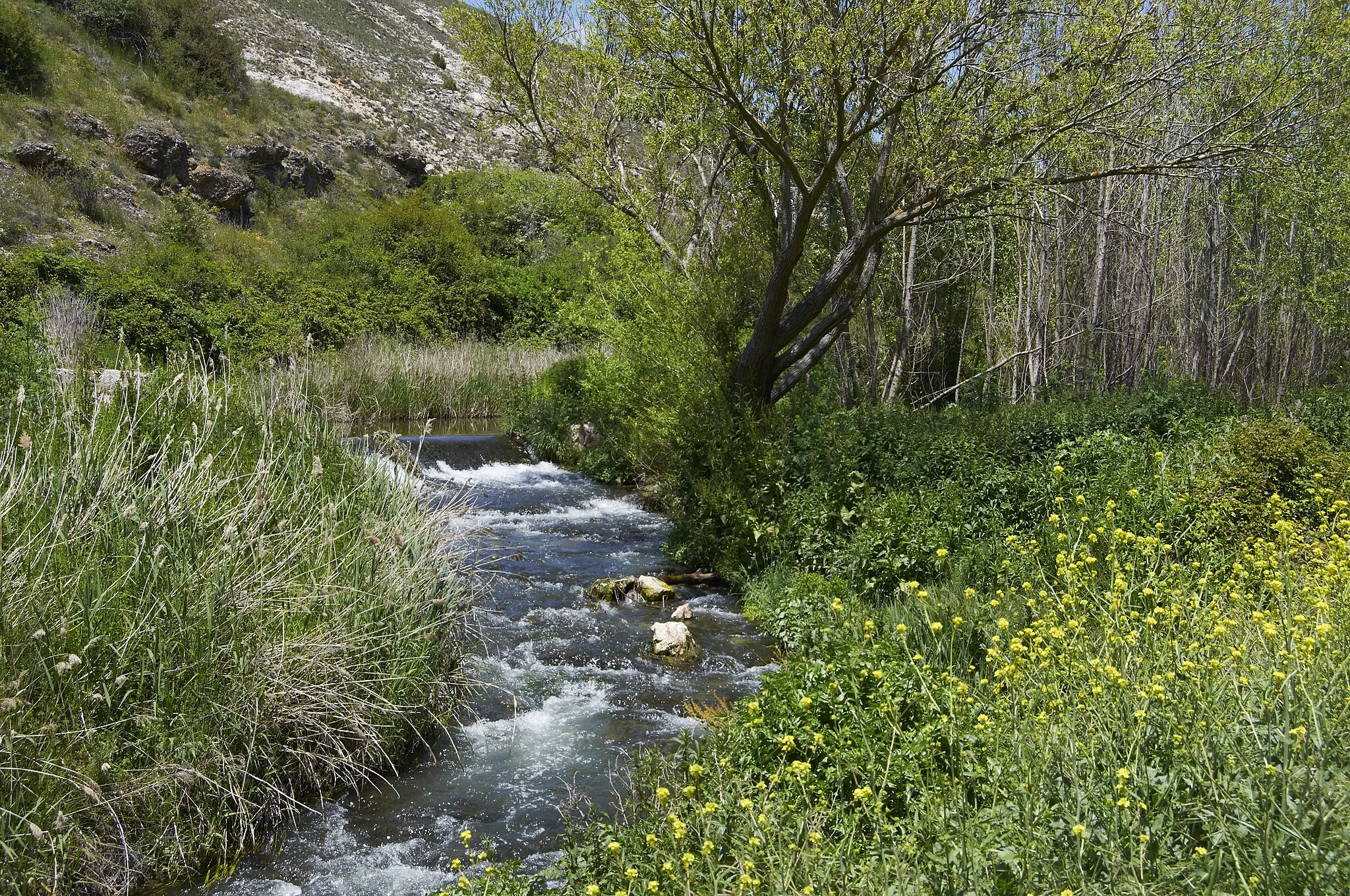 Bild von Castilla-La Mancha