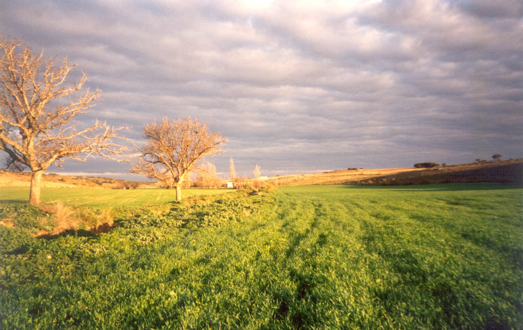 Photo showing: Vista de la ribera del río CÓrcoles (desde la margen izquierda), hacia el Molino de la Pasadilla