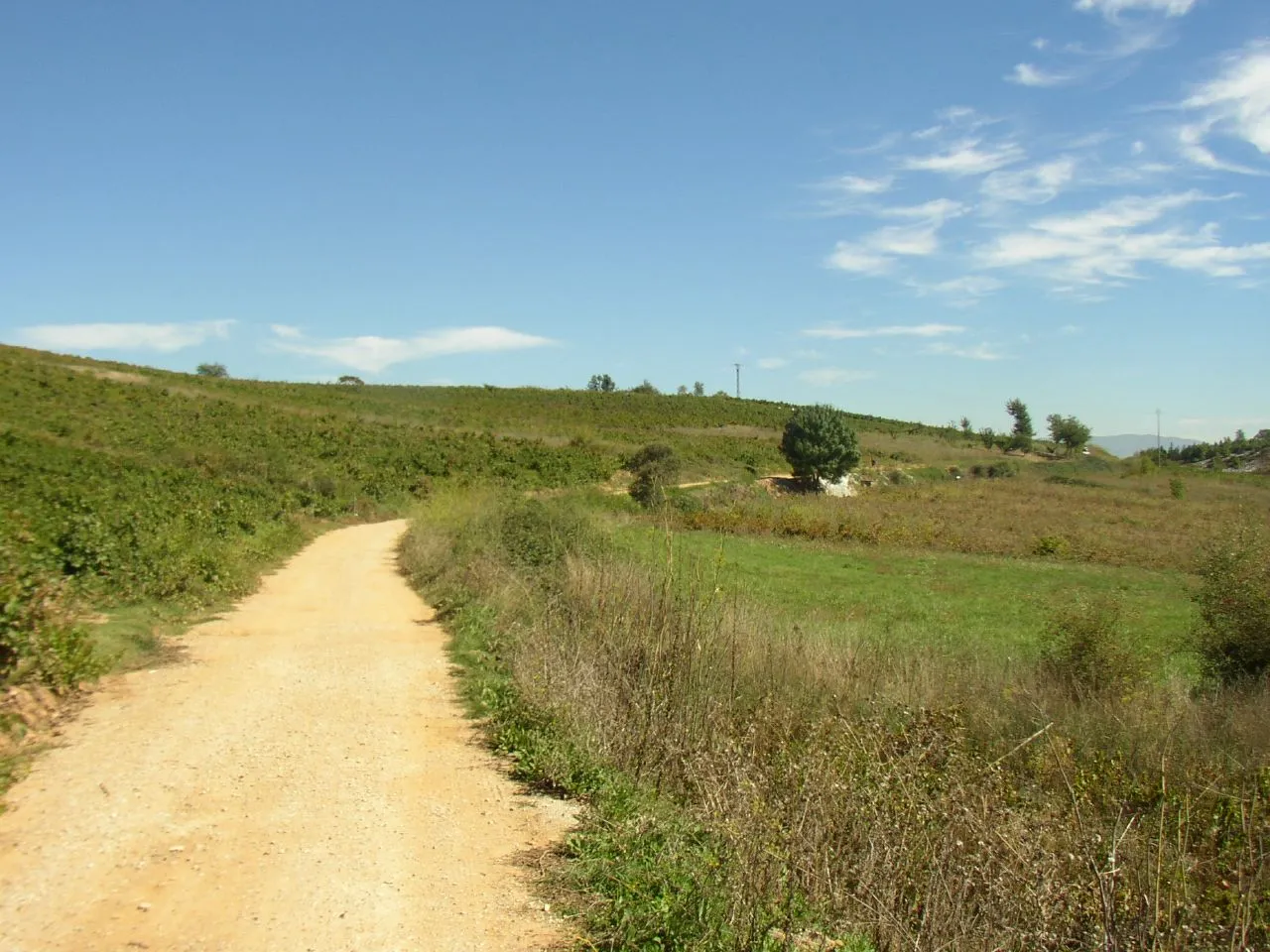 Photo showing: vineyards near Camponaraya (Volviendo la vista atrás y viendo la senda que acabas de cruzar.)
Vuela hasta esta localización

(Necesitas Google Earth)