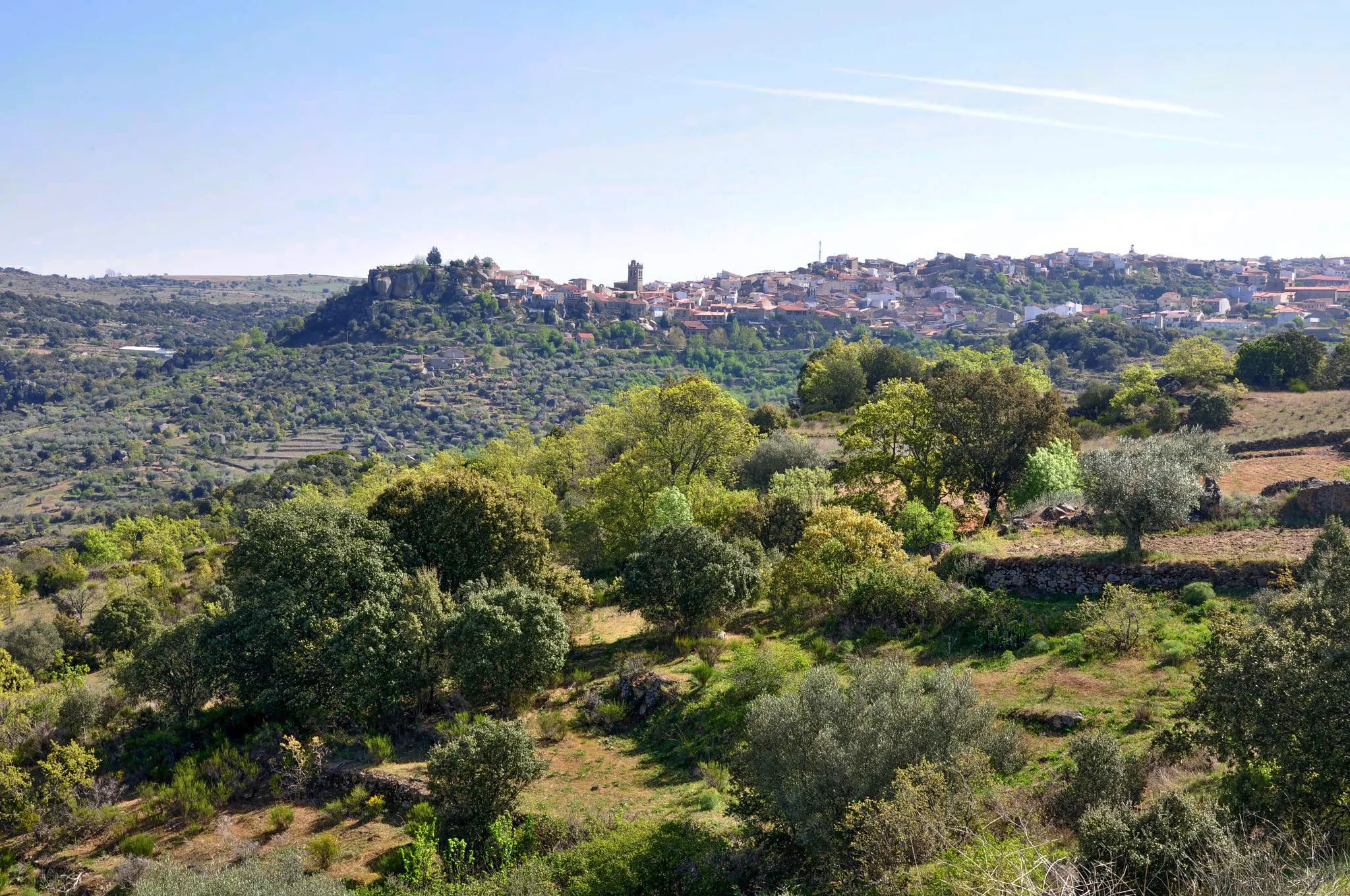 Billede af Castilla y León