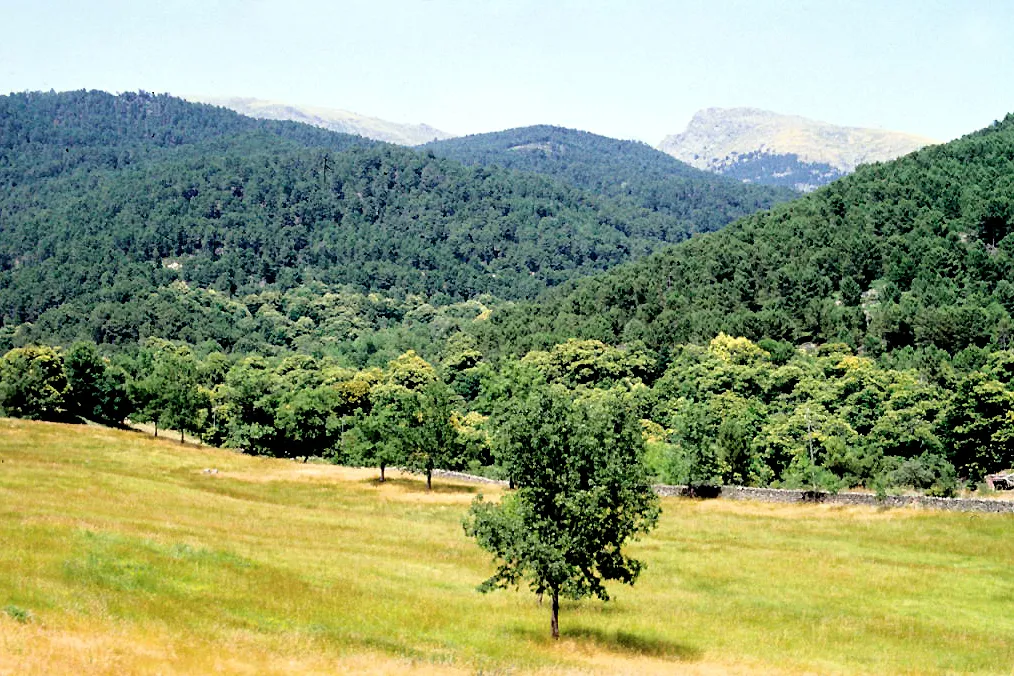 Imagen de Castilla y León