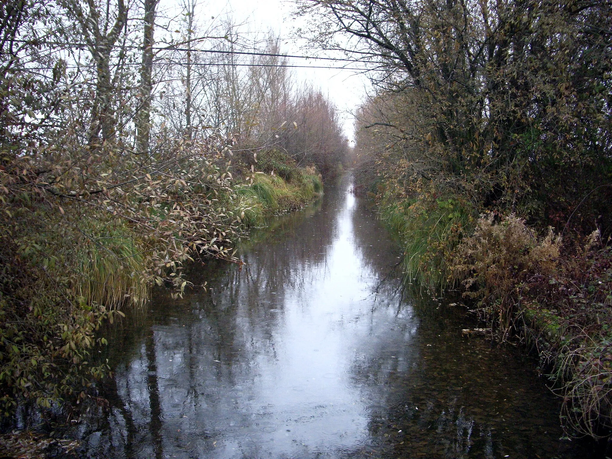 Image de Castilla y León