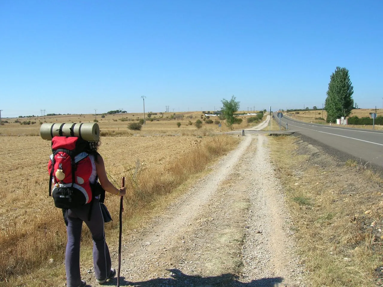 Photo showing: Caminando paralelos a la N-120 cerca de San Miguel del Camino.
Vuela hasta esta localización

(Necesitas Google Earth)