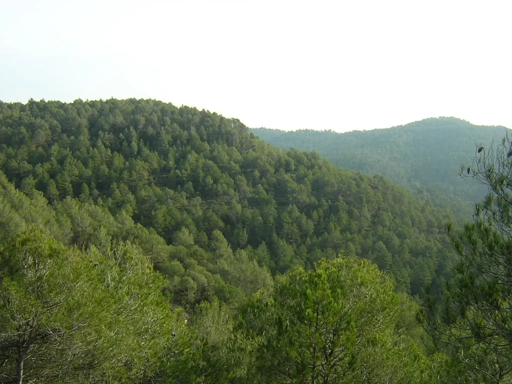 Photo showing: La Puntogaina i el Serrat de Baiones (Moià i Monistrol de Calders, Moià)