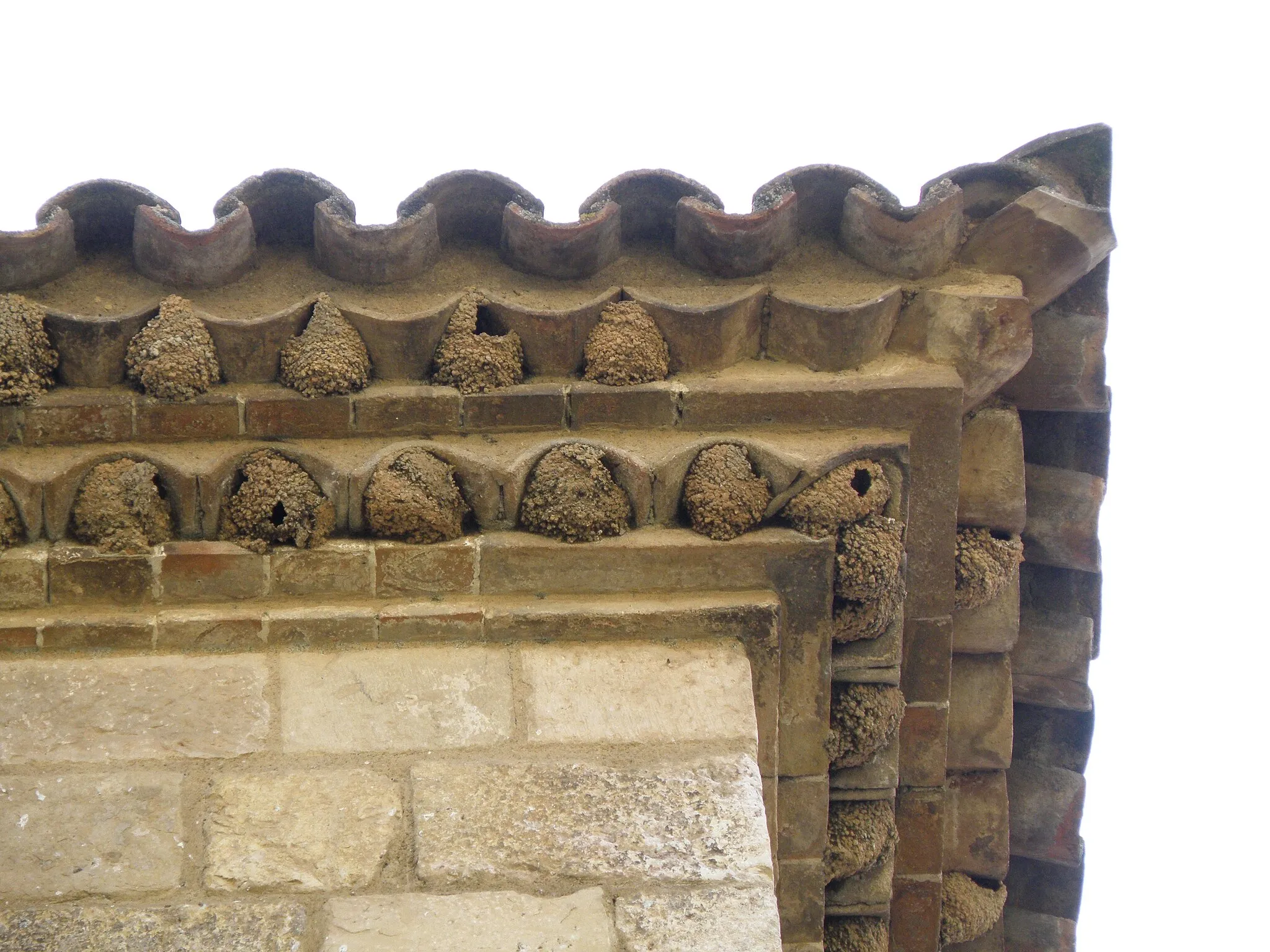 Photo showing: Casal de la família Desclergue a la Plaça Major de Montblanc, la Conca de Barberà, Tarragona. Cantonera de la teulada. S'observa la gran quantitat de nius d'oreneta.