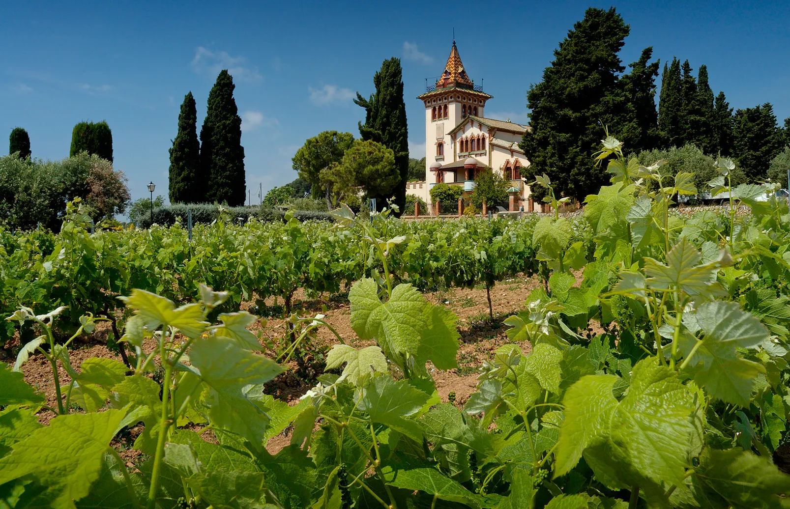 Bild von Sant Pere de Ribes