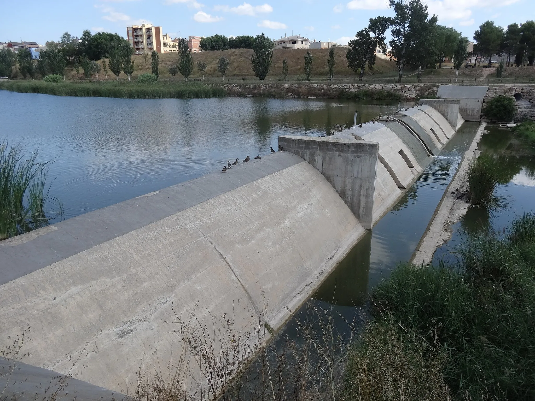 Photo showing: Parc Fluvial de Vilanova del Camí. Presa al riu Anoia.