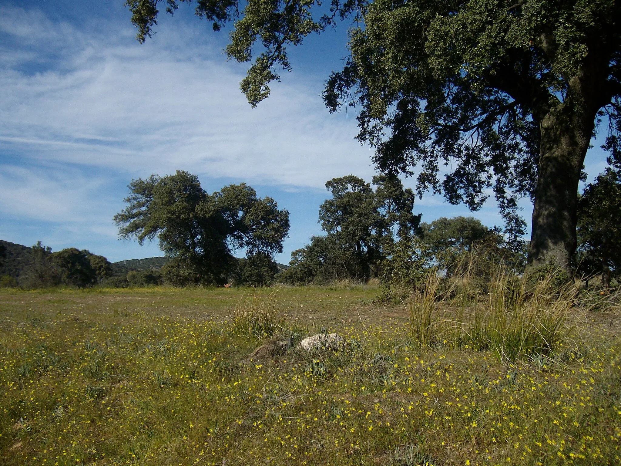 Photo showing: Camino hacia donde yo veraneaba de pequeño, en una urbanización de Cadalso de los Vidrios, llamada Entrepinos, cerca de la localidad de San Martín de ValdeIglesias.

Allí pasaba los largos periodos veraniegos de mi infancia, me encantaba mirar por la ventana y ver el paisaje.