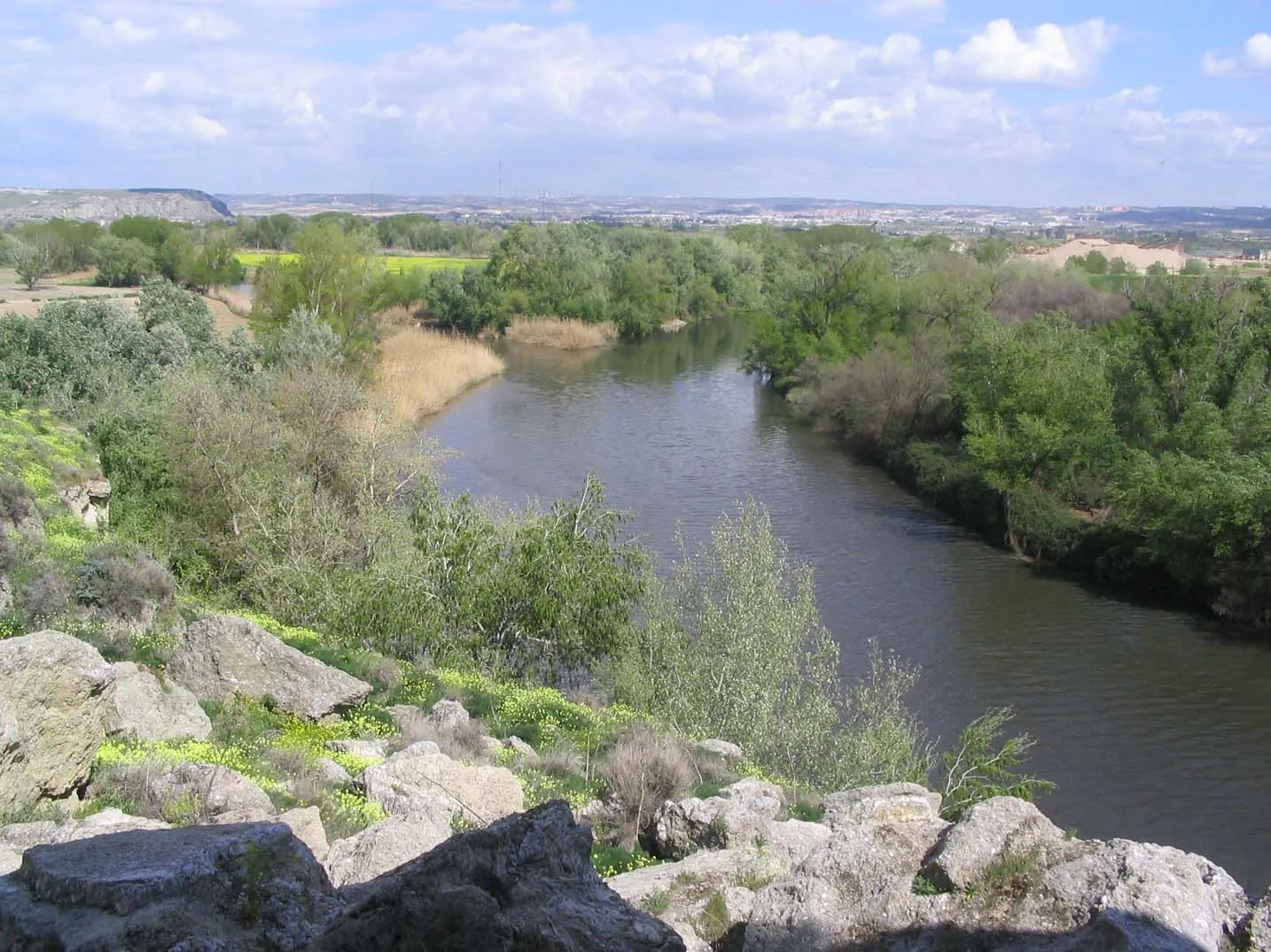 Photo showing: Desembocadura del río Manzanares en el Jarama (Comunidad de Madrid, España).