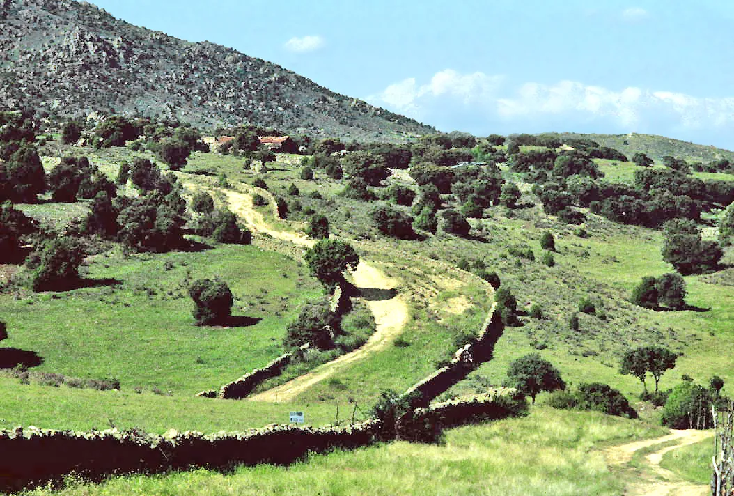 Photo showing: A drover's way with dirt road inside. Colmenar Viejo, Madrid, Spain